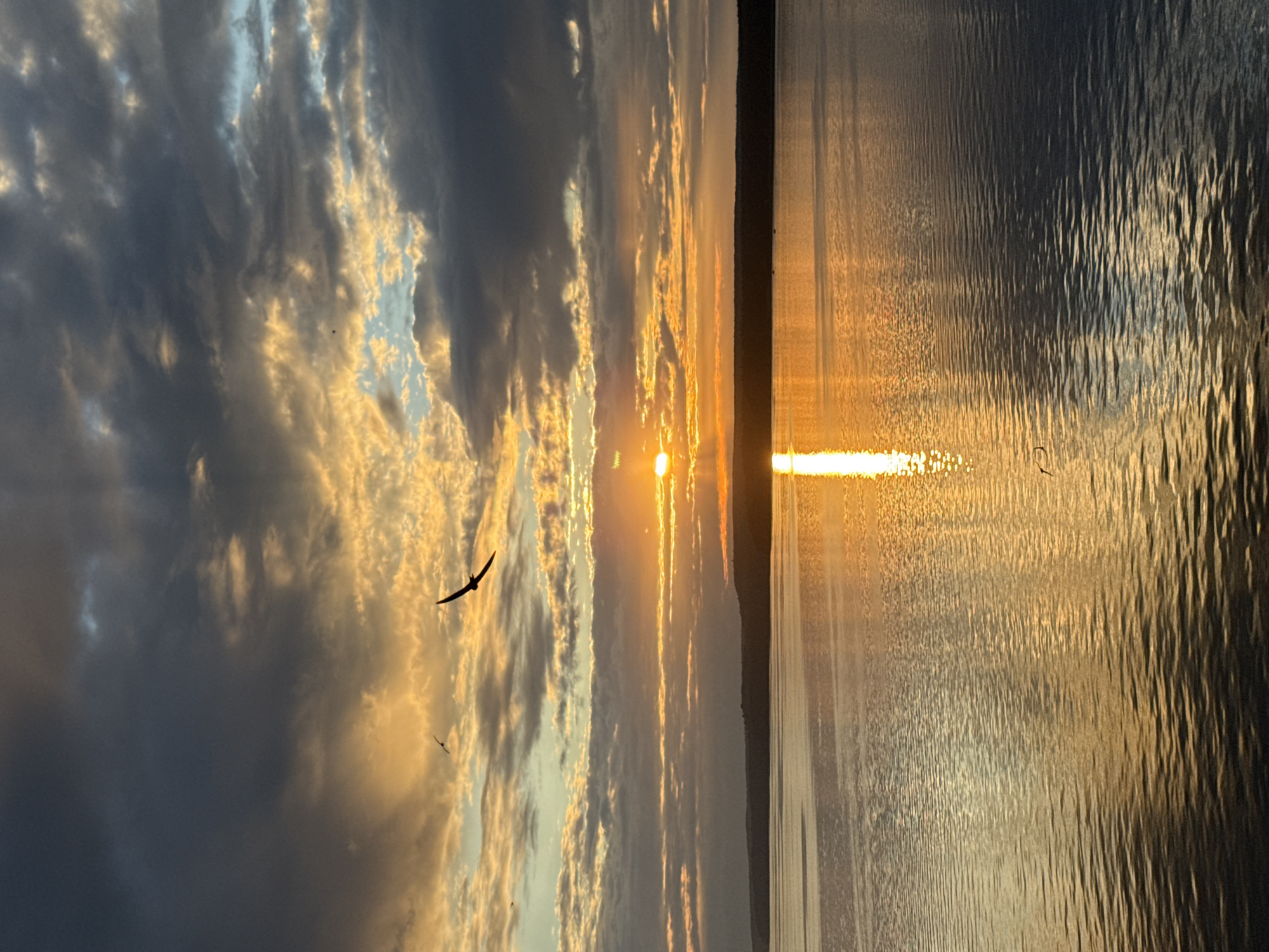 A sunset over a large body of water, possibly a reservoir or lake, near Votkinsk, Russia. The sun is low on the horizon, casting a golden reflection on the rippling water. Dark, dramatic clouds fill the sky, interspersed with lighter, illuminated clouds, creating a contrast of light and shadow. Silhouettes of trees and a gentle slope of land are visible on the far bank. Two birds are in flight, one larger and more prominent in the upper center, and another smaller one to the left. The overall atmosphere is serene and majestic.