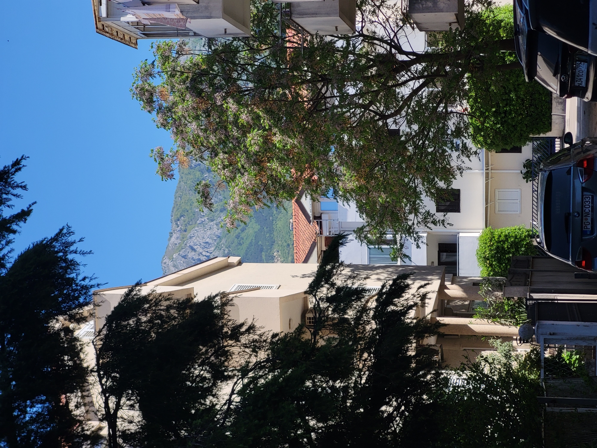 The image captures a view between buildings in Budva, Montenegro. In the distance, a mountain is visible under a clear blue sky. A tree with light green and pink blossoms is positioned in the center of the frame, partially obscuring the buildings. The buildings on either side appear to be multi-story residential structures. Two parked cars are visible on the right side of the image. A green bush separates the buildings.