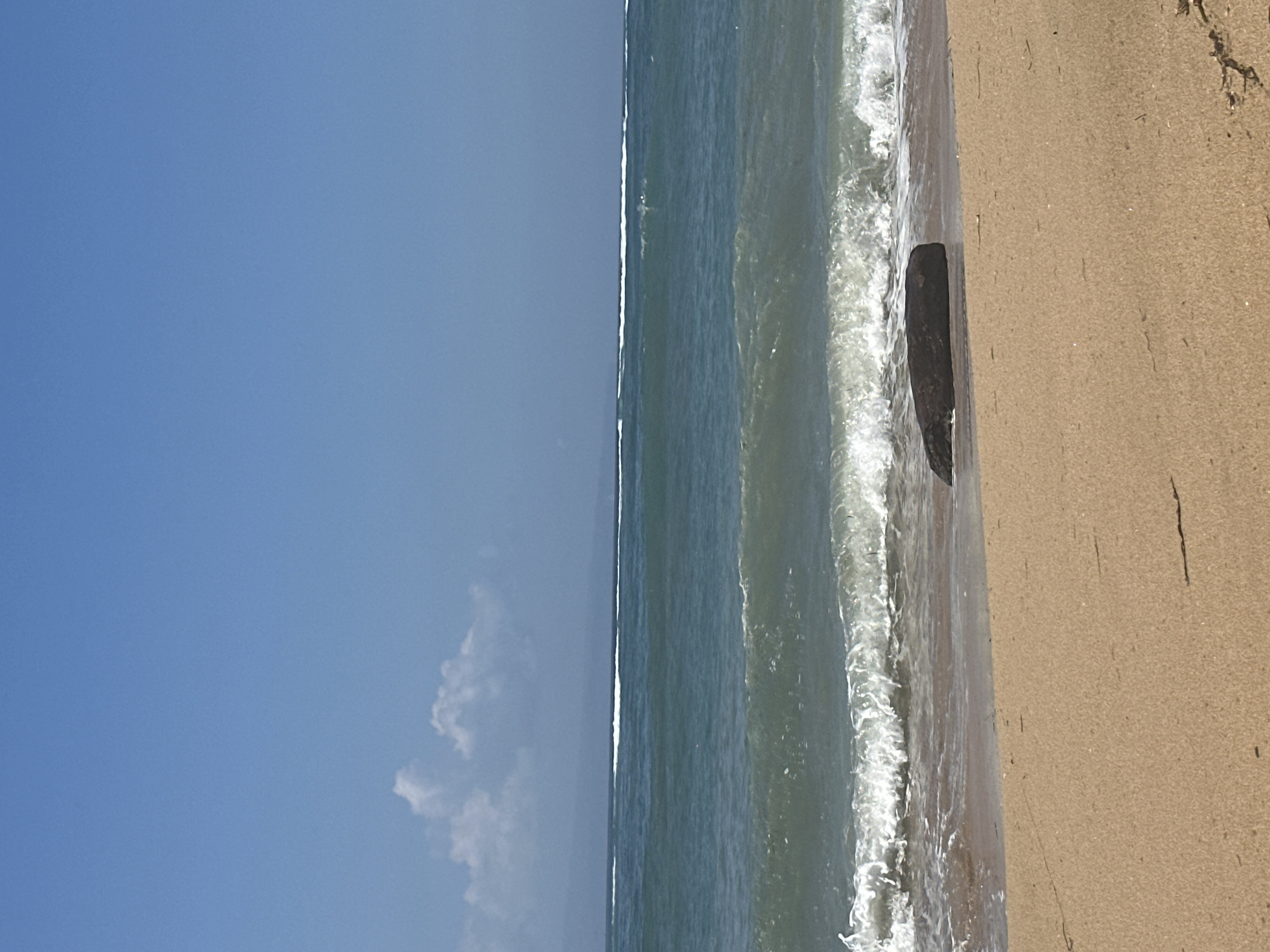 A serene, wide-angle shot of a beach in Denpasar, Indonesia, captures the tranquil beauty of the coastline under a clear blue sky. The sandy shore in the foreground is a light golden hue, marked by subtle shadows and sparse, dried vegetation. A dark, weathered piece of driftwood lies partially submerged in the shallow water near the shore, its shape rounded by the constant erosion of the sea. Beyond the sand, the ocean stretches out, a mesmerizing expanse of deep teal water. Gentle waves with foamy crests roll towards the beach, their rhythmic motion creating a sense of peace. In the distance, the horizon is marked by faint, layered outlines of land, possibly islands or mountains, barely visible through the hazy atmosphere. A scattering of soft, white clouds drifts lazily across the vast, unblemished blue sky, adding a touch of softness to the otherwise clear expanse. The scene is devoid of human presence, emphasizing the raw, untouched natural beauty of this coastal location.