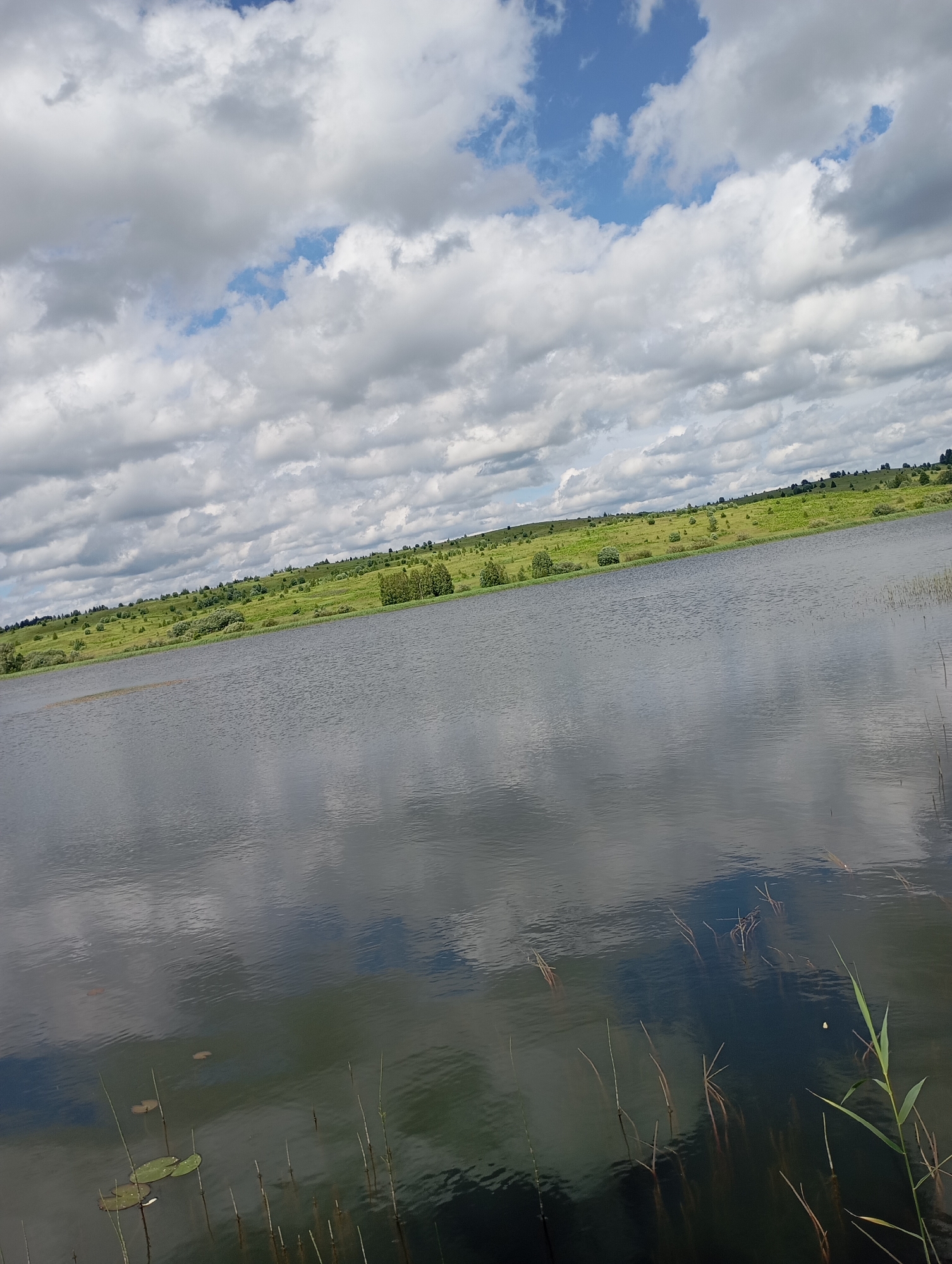 The image shows a wide, dark lake with reflections of the sky and clouds on its surface. The shoreline is lined with lush green grass and scattered trees, creating a rolling landscape that extends into the distance. The sky is filled with a mix of white and gray clouds, with patches of blue visible. There are a few lily pads and reeds emerging from the water near the foreground. The overall impression is a serene natural landscape, likely in a rural or semi-rural setting. The location is identified as Ryabki, Russia. There are no people or animals visible in the image.