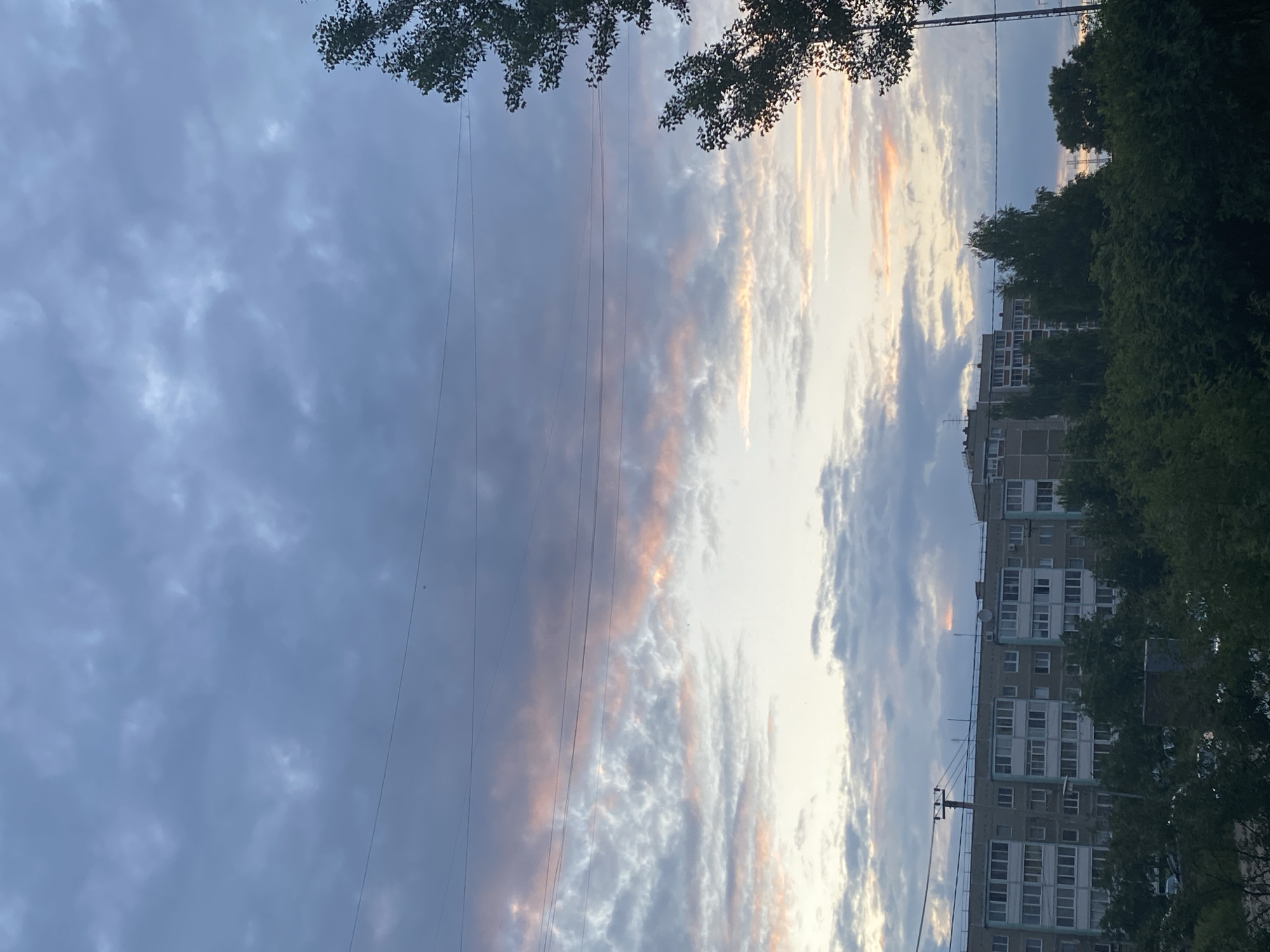 The image depicts an urban landscape at dusk. A multi-story apartment building, typical of Soviet-era architecture, occupies the middle ground, its facade a uniform grey with numerous windows. Lush green trees and foliage form a dense border in the foreground, obscuring the lower portions of the building and suggesting a natural area encroaching on the urban environment. Overhead, a network of power lines crisscrosses the frame, stretching horizontally against a dramatic sky. The sky itself is a canvas of twilight, with heavy, grey clouds interspersed with streaks of soft pink and orange, indicating the setting sun. The overall atmosphere is one of calm and transition, as daylight gives way to evening. There are no people or discernible animals visible in the scene.
