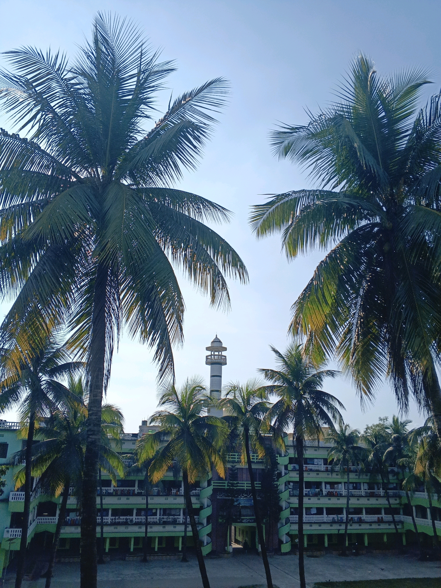 The image shows a view of a building complex with a minaret in the distance, framed by several coconut palm trees. The building is multi-story and painted in light green and white. It has multiple balconies with white railings, and laundry can be seen hanging from some of them. A tall, slender minaret with a decorative top stands behind the building, slightly to the left of center. The sky is clear and bright blue. The scene is set in Hathazari Upazila, Bangladesh. There are no discernible people or actions in the image.