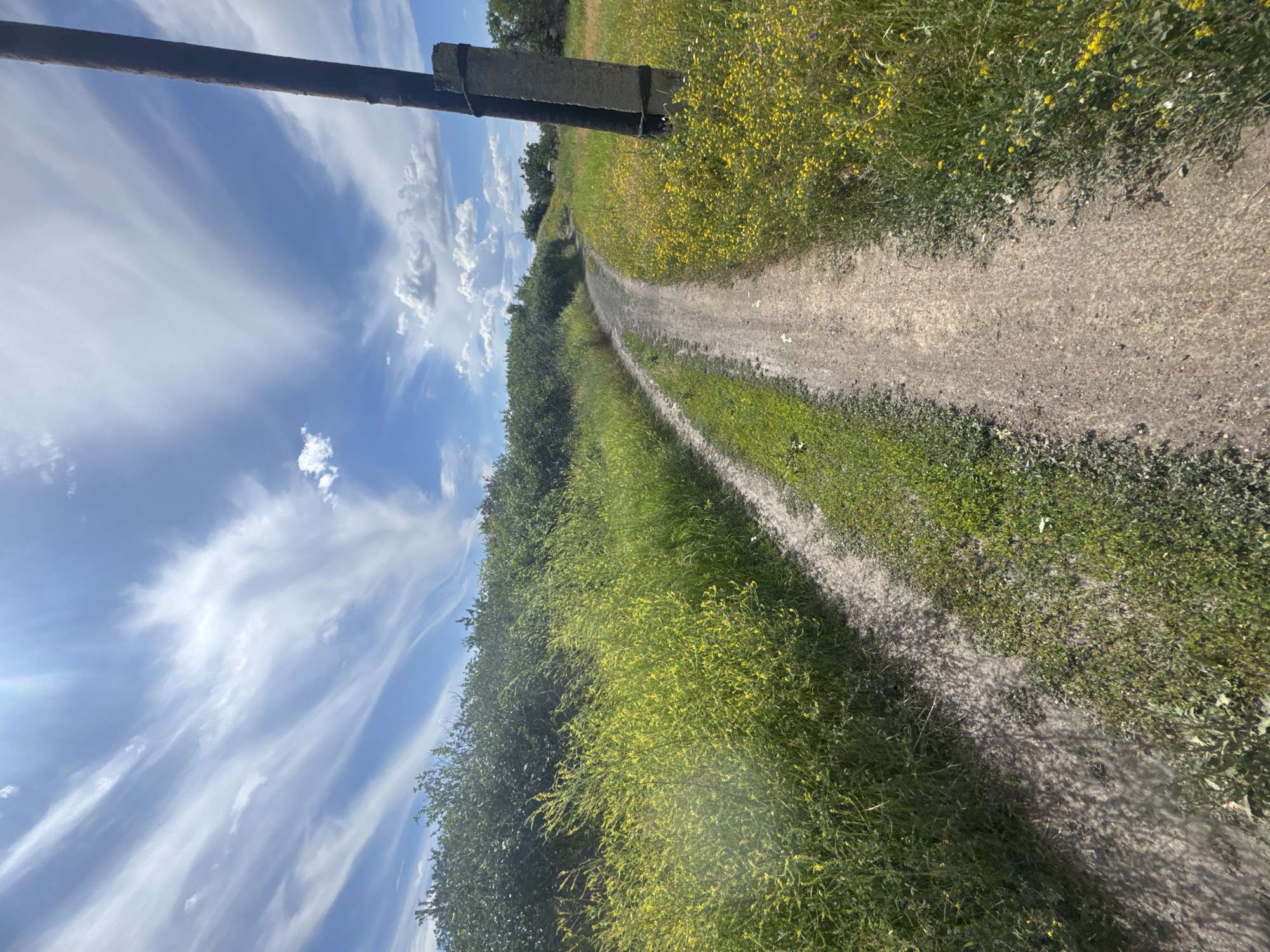 The image shows a dirt road winding through a grassy landscape under a partly cloudy sky. The road curves to the right in the foreground and continues into the distance, disappearing behind a slight rise. On the left side of the road, there is a dense growth of green bushes and tall grass with scattered yellow wildflowers. On the right side, the vegetation is sparser, with more yellow wildflowers and a tall, weathered utility pole made of concrete and dark material, secured with bands. The sky is bright blue with wispy white clouds. The overall impression is one of a rural or undeveloped area.