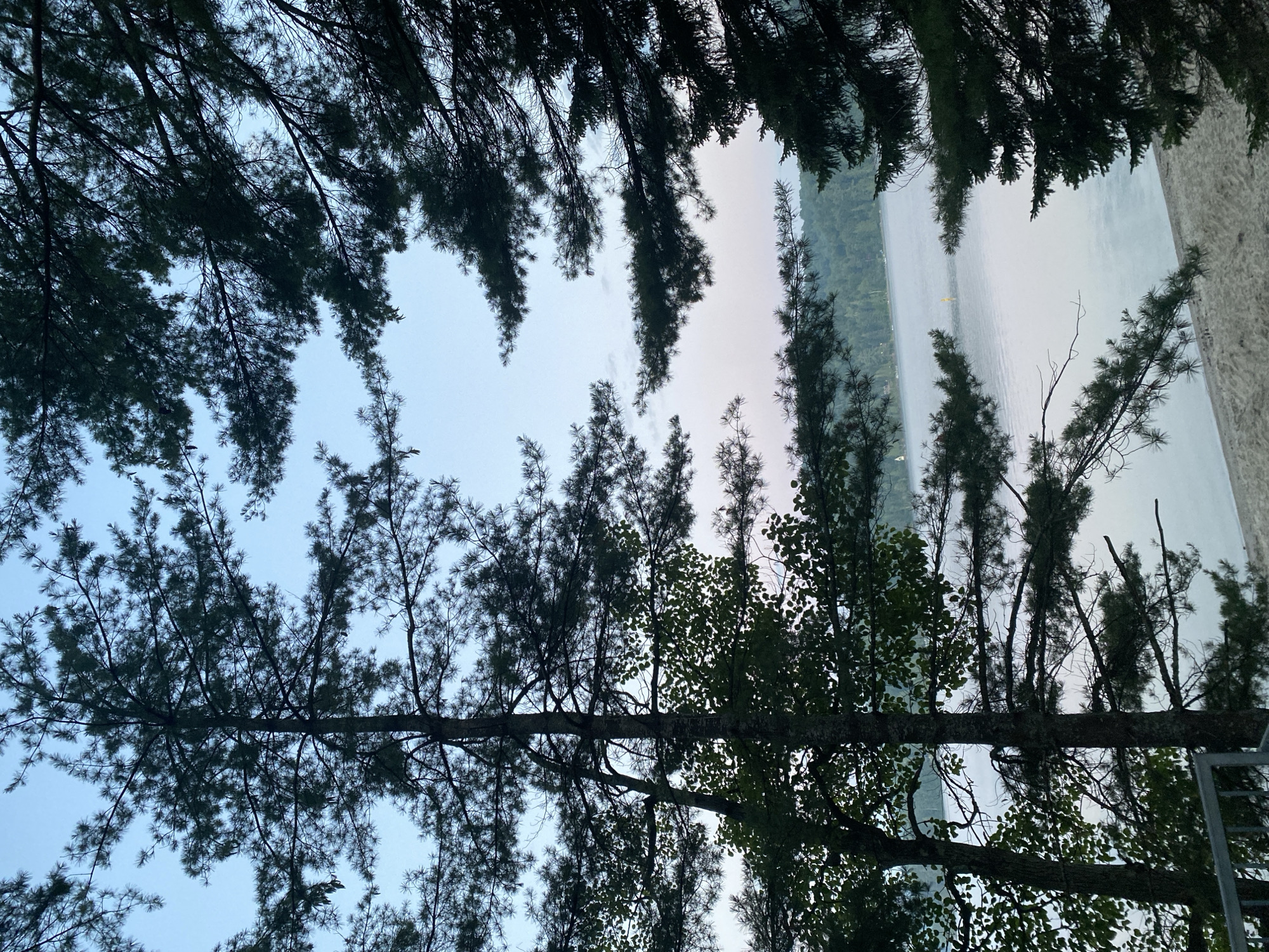 This is a vertical, eye-level, full shot image of a lakefront at dusk, viewed through the branches of pine trees. The foreground is dominated by the dark silhouettes of evergreen trees. Their branches, laden with needles, frame the scene, creating a natural aperture.
Beyond the trees lies a calm lake, its surface reflecting the pale, dusky sky. A narrow sandy beach stretches along the water's edge in the lower right portion of the image. In the distance, a dense forest covers the rolling hills that border the opposite side of the lake. The sky above is a gradient of soft blues and purples, with a few wispy clouds scattered across it, suggesting the transition from day to night. The overall atmosphere is tranquil and serene.
The scene is likely located in Duhamel, Canada, given the natural setting of a lake surrounded by pine forests, common in the Quebec landscape. There are no people visible in the image. The lighting is dim, typical of twilight, with the light source seemingly behind the trees and hills, creating a soft illumination.