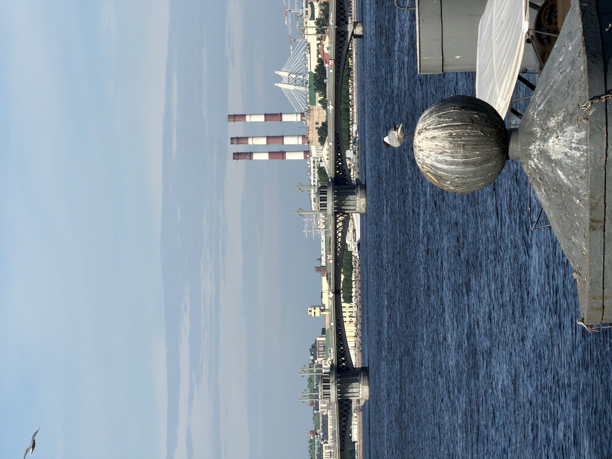 This image depicts a panoramic view of the Neva River in Saint Petersburg, Russia. In the foreground, a large, weathered spherical object, likely a decorative element on a quay or pier, is covered in bird droppings. A seagull is perched atop the sphere. The middle ground features the wide, dark blue expanse of the Neva River. Beyond the river, a long, multi-arched bridge spans the water, with a cityscape of buildings lining the far bank. To the right of the bridge, three tall, red and white striped industrial smokestacks dominate the skyline, characteristic of a power plant. A white, modern cable-stayed bridge is visible further in the distance to the right of the smokestacks, and construction cranes are also present on the horizon. The sky is a pale blue with scattered, wispy clouds. A single seagull is captured in flight in the upper left corner of the image.