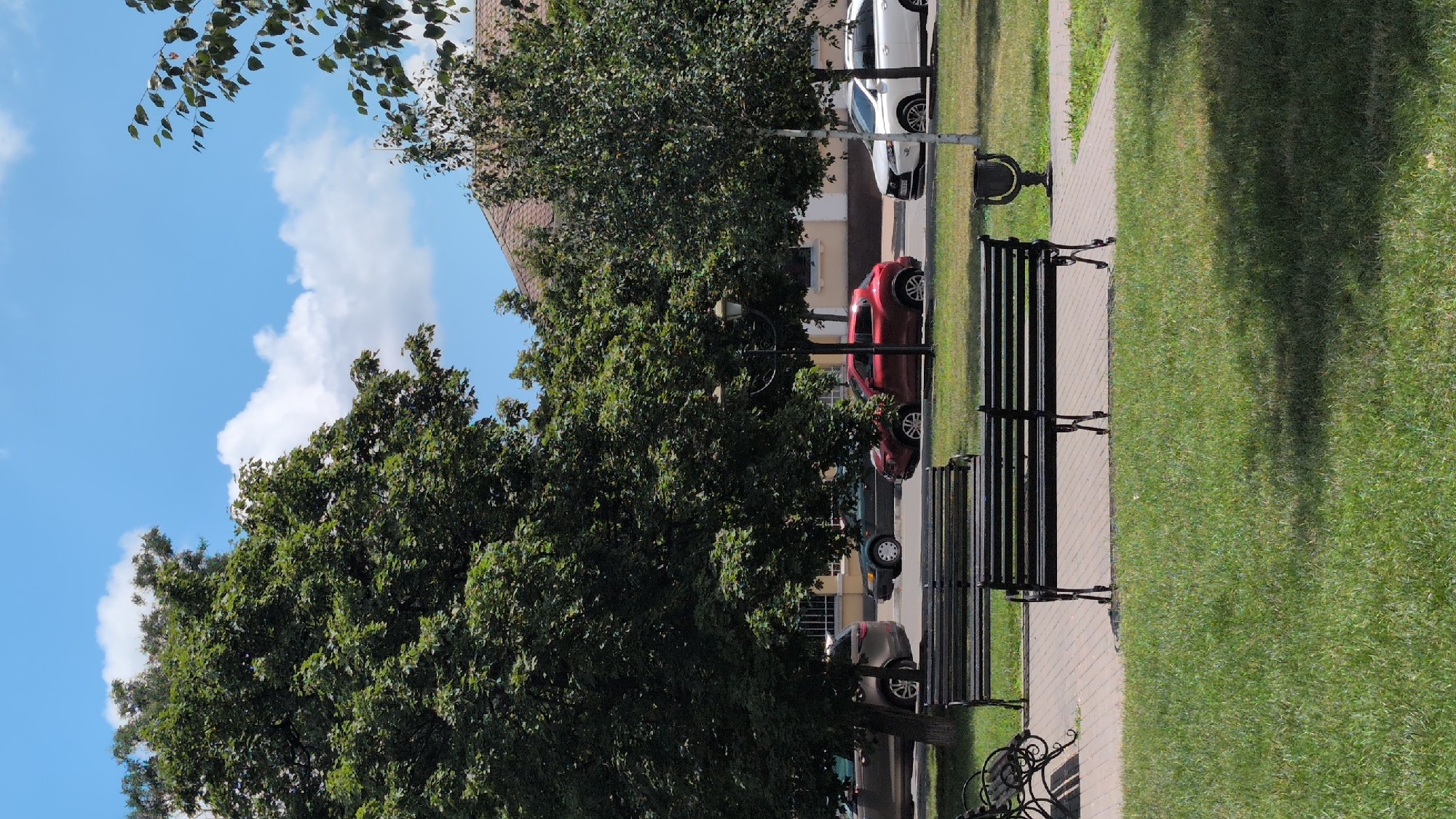 The image depicts a street scene in Izmail, Ukraine. In the foreground, two dark-colored park benches are situated on a paved walkway adjacent to a well-maintained lawn. Beyond the benches, a street runs parallel, with several cars parked and driving. A red SUV is prominently visible, alongside a silver sedan and a white sedan. Mature trees with dense green foliage line the street, casting shadows on the pavement. In the background, a building with a tiled roof is partially visible. The sky is bright blue with scattered white clouds, suggesting a clear, sunny day. A street lamp stands between two of the trees.