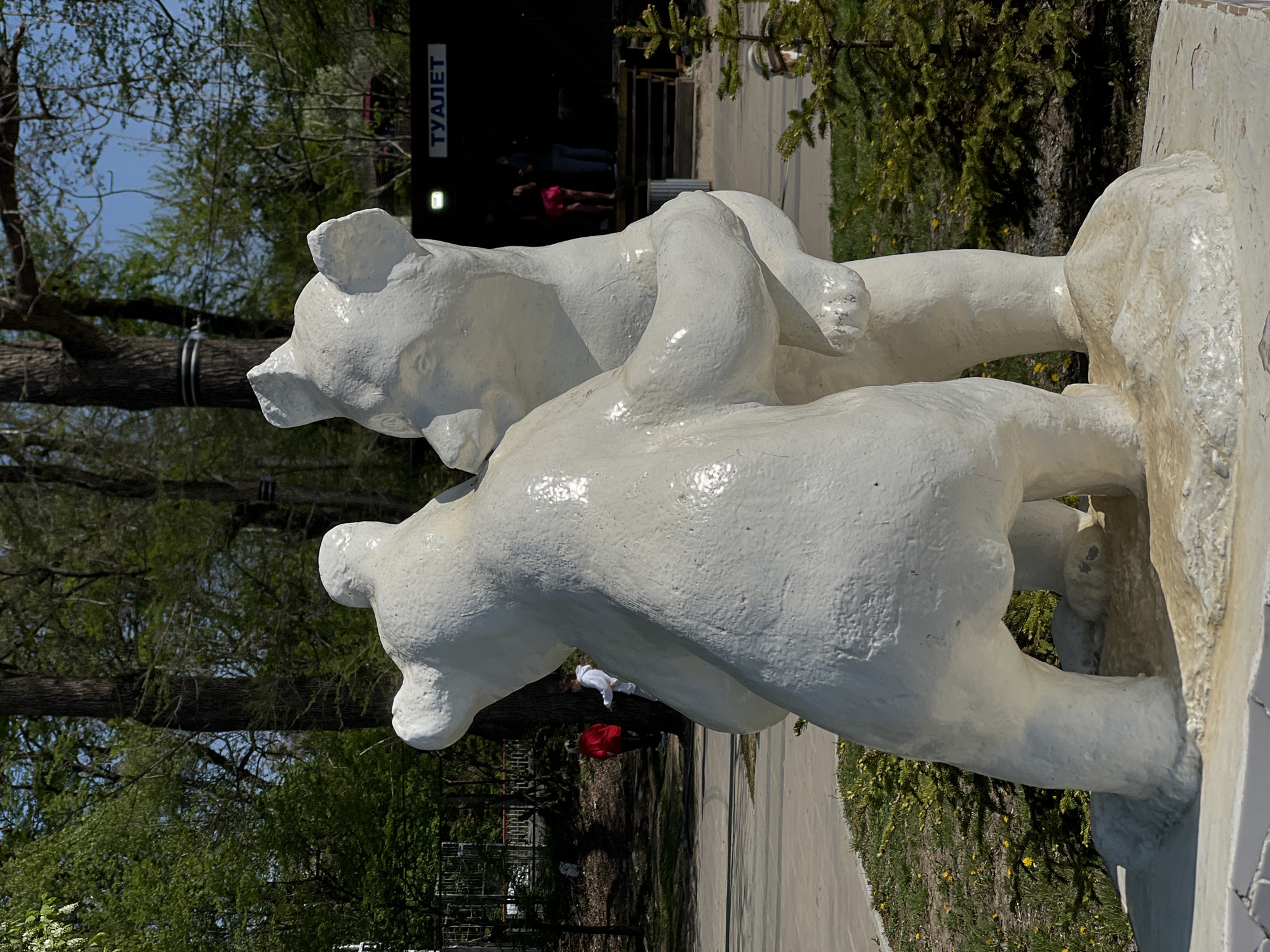 The image shows a statue of two white bears wrestling, located in Vladivostok, Russia. Behind the statue is a sign that says "туалет" which is translated as "toilet". People are standing near the toilets. There are trees and vegetation visible in the background. A paved walkway runs parallel to the statue.