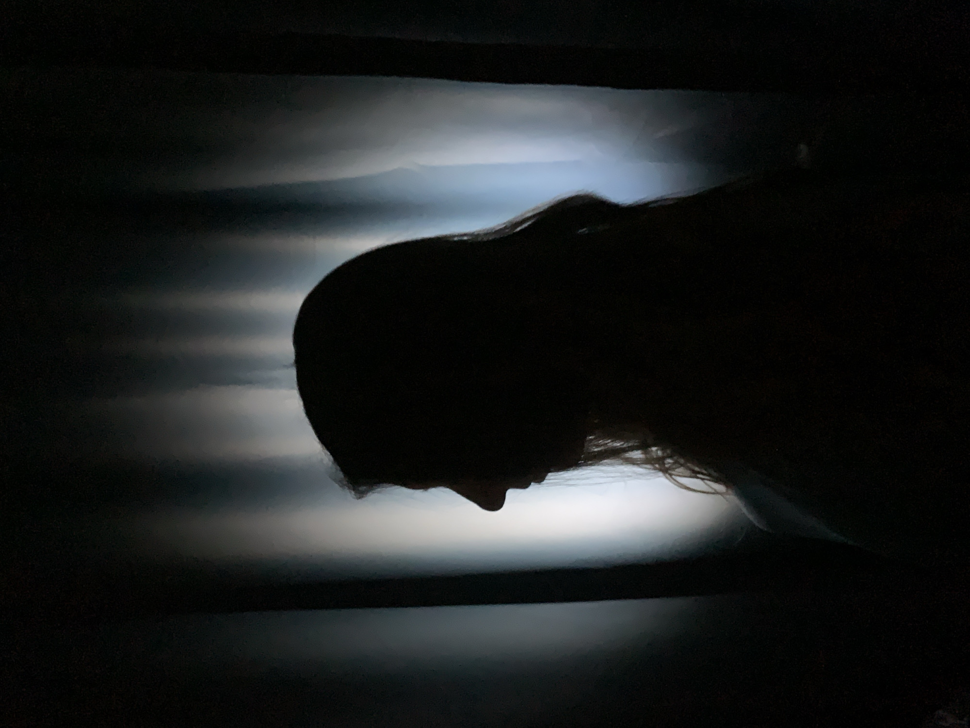 The image shows a silhouette of a person's head, with their face tilted downwards. The background features horizontal streaks of light and dark. The location is difficult to discern from the image alone, and there is no verifiable information that it's Chaikovsky, Russia. More information is needed to confirm the specific location.