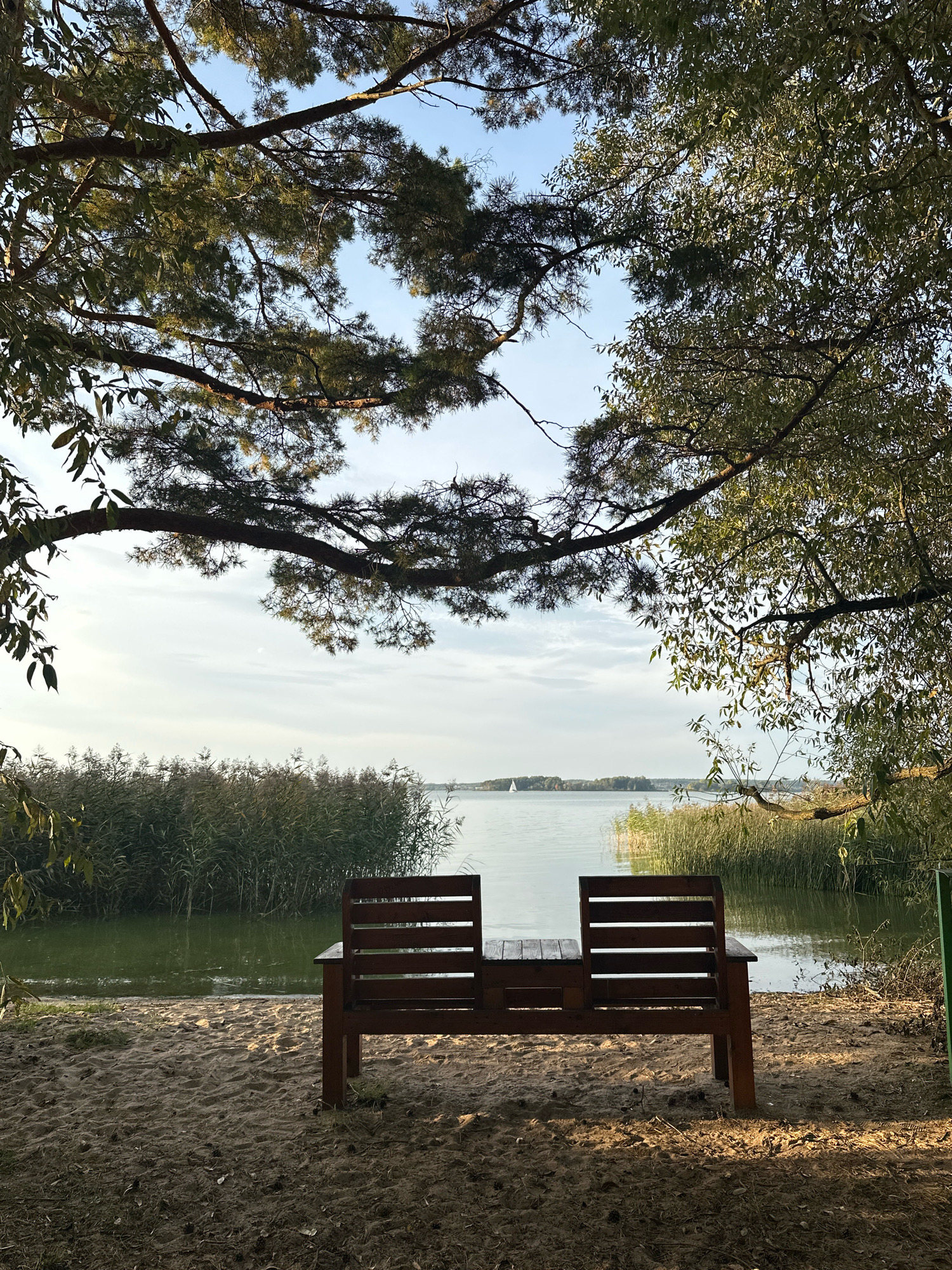 The image depicts a serene natural setting by a body of water, likely a lake, on a clear day. In the foreground, a wooden bench designed for two people is positioned on a sandy shore. The bench is oriented towards the water, offering a view of the lake and the distant treeline. Overhanging branches of trees frame the scene from above, with one branch extending prominently from the left side of the frame, casting shadows on the sand. The water is calm, with reeds growing along its edge, and a small sailboat is visible in the distance on the lake. The sky is bright with some scattered clouds. The environment suggests a peaceful outdoor recreational area, possibly within or near the Ждановіцкі сельскі Савет in Belarus, given the context. There are no people or animals visible in the image. The overall atmosphere is tranquil and inviting.