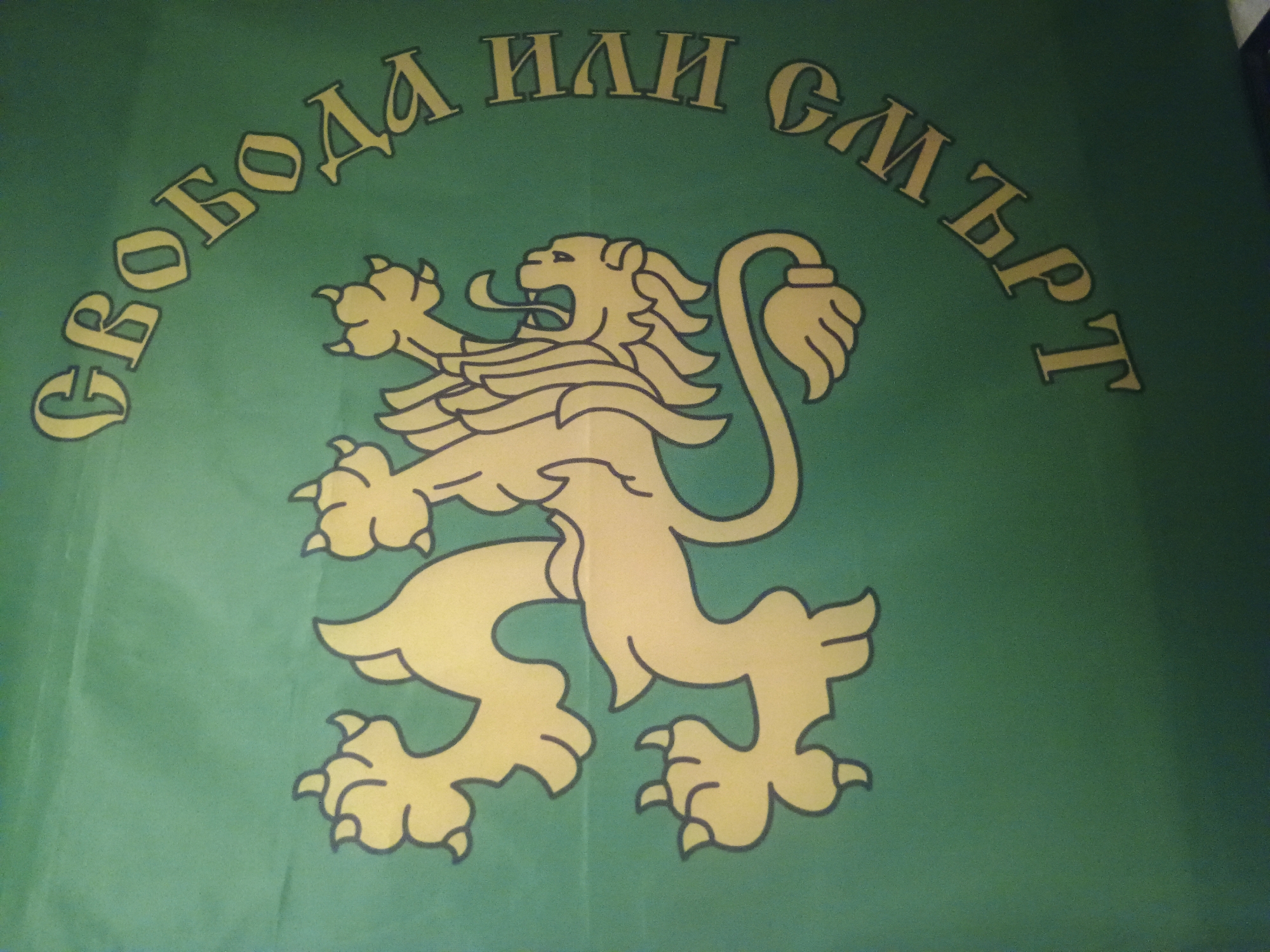 A green flag displays a yellow lion rampant in the center. The text "Свобода или смърт" (Freedom or Death) arcs above the lion in yellow. The flag's specific location is not identified.
