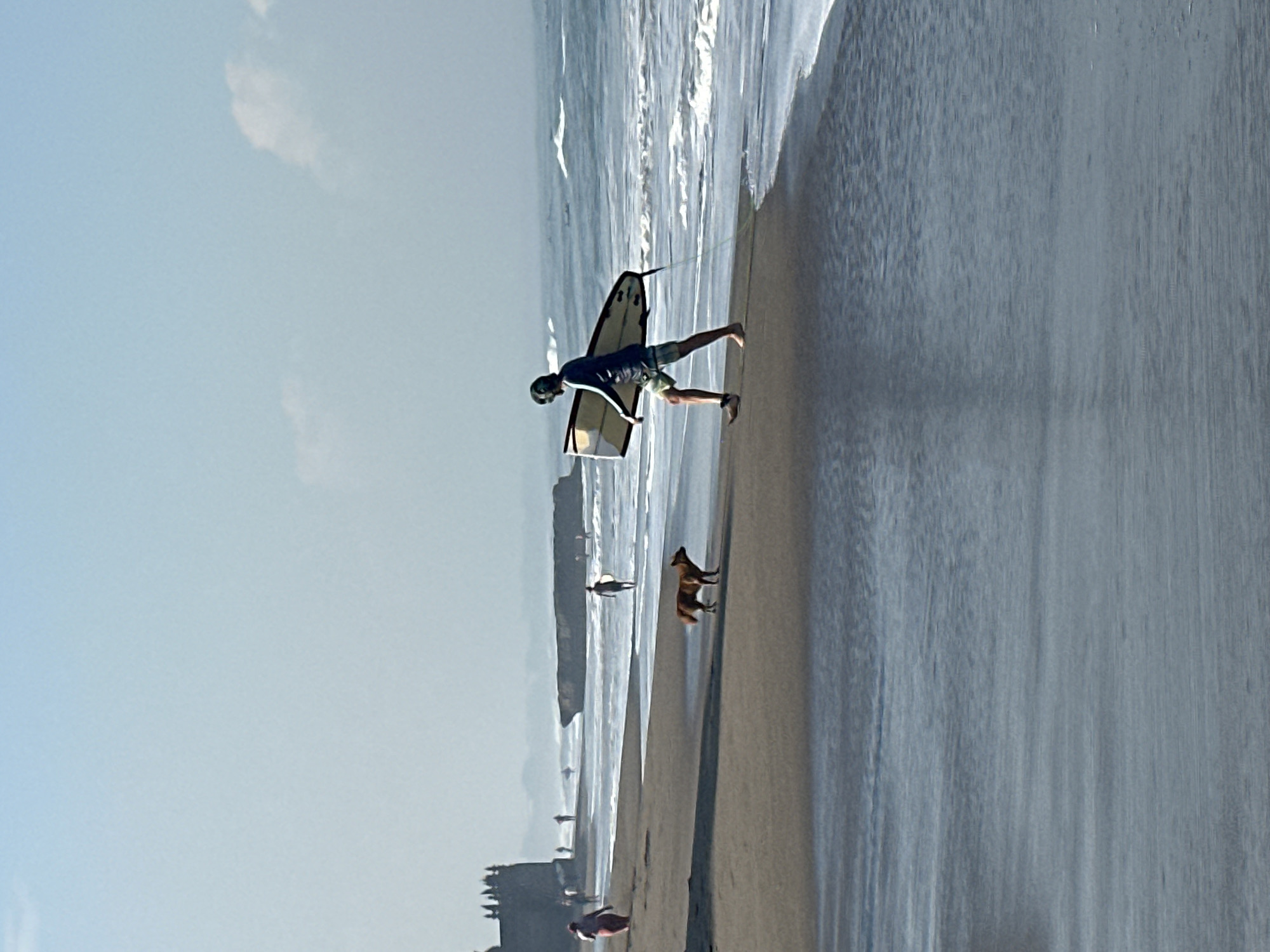 In North Kuta, Indonesia, a man walks along a sandy beach carrying a surfboard under his arm. A dog runs alongside him on the wet sand near the water's edge. In the background, other people are visible on the beach and in the ocean. The waves are breaking, and the sky is clear with some clouds. A rock formation juts out from the sea in the distance. The scene captures a typical day at the beach with recreational activities taking place.