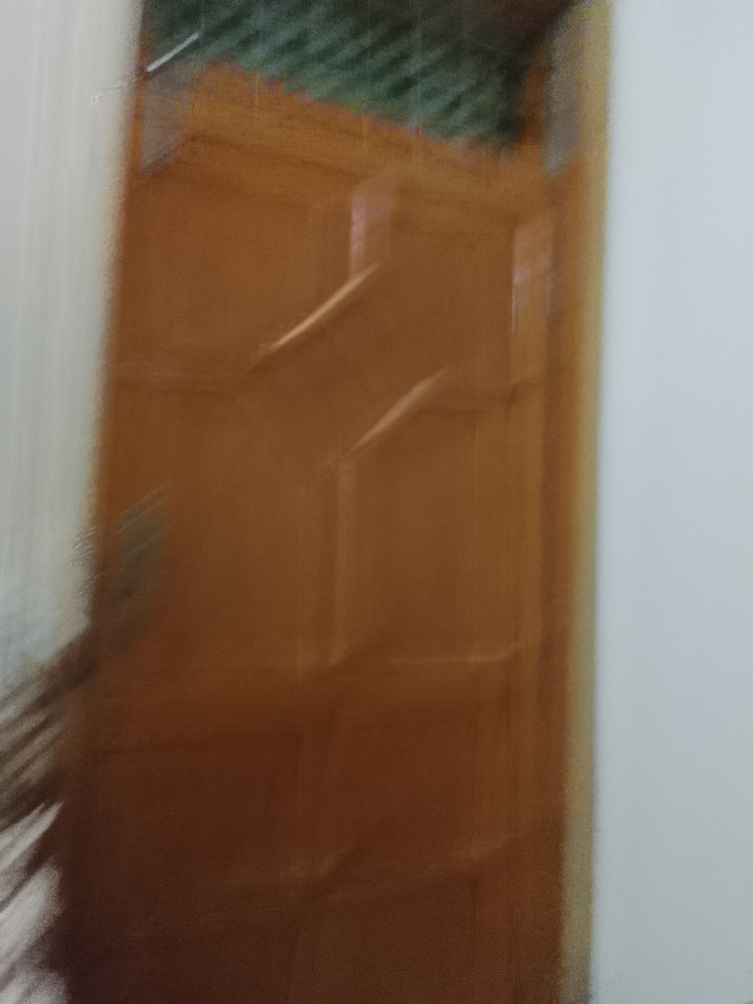 A blurry image shows a light brown wooden door with a patterned design. The door is partially visible against a white wall. The upper portion of the door has a window covered by a green and black screen. The location is unknown.