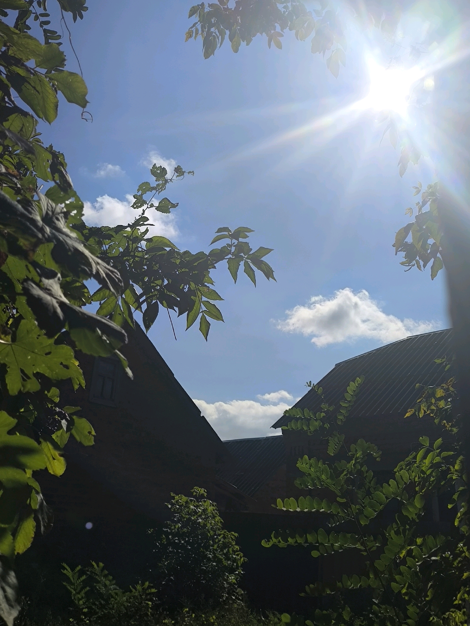 The image captures a sun-drenched sky over Anastasivka, Ukraine. The bright sun, with prominent lens flares, shines down from the upper right corner, illuminating scattered white clouds against a clear blue sky. Silhouetted against the sky are the dark, angled roofs of two traditional Ukrainian houses, their dark, weathered texture contrasting with the bright sky. Lush green foliage, with distinct leaves and branches, frames the scene from the foreground and sides, suggesting an outdoor setting with abundant vegetation. The leaves are illuminated from behind by the sun, creating a luminous effect. The overall impression is one of a peaceful, rural day with a strong emphasis on natural light and elements.