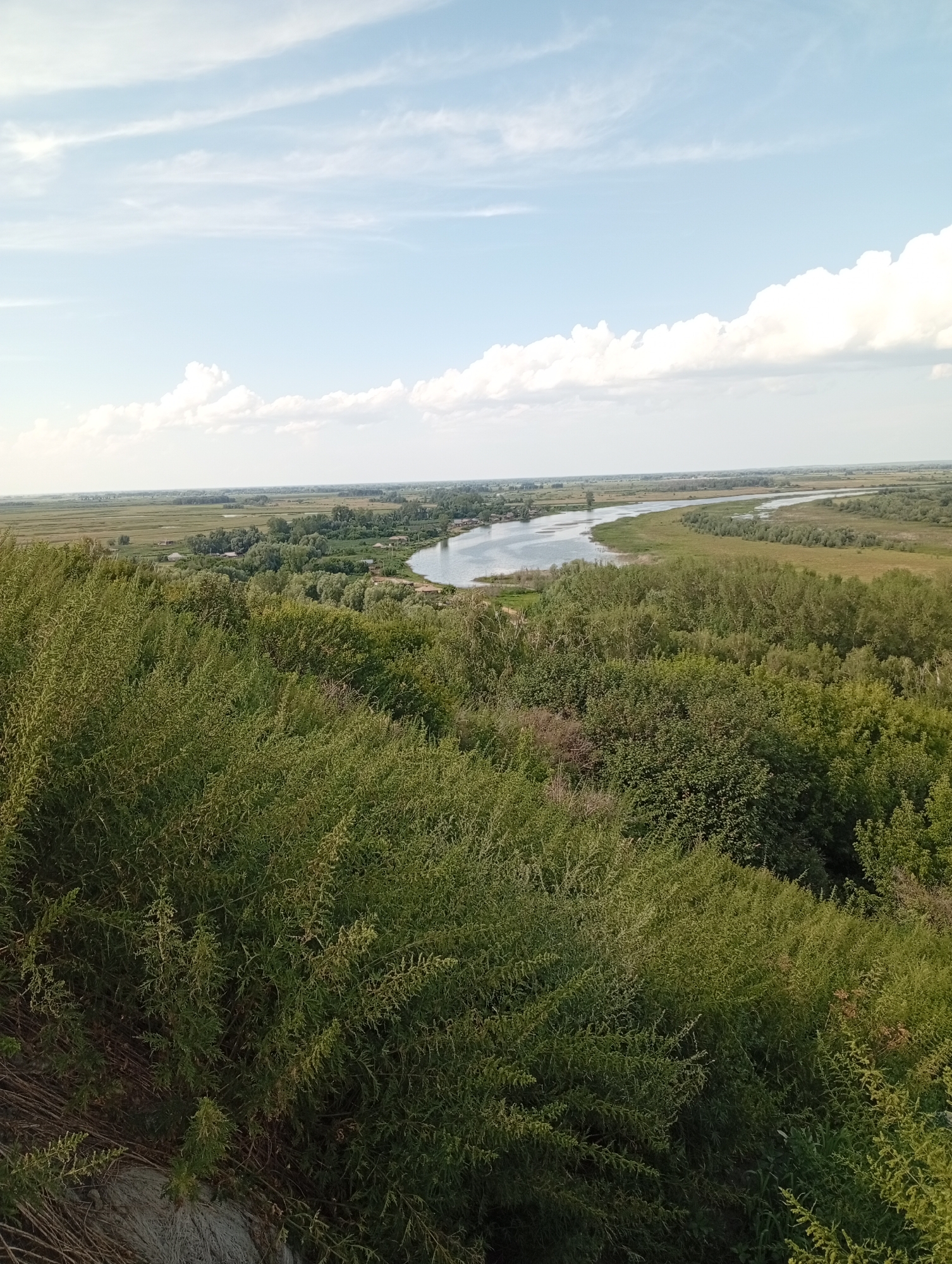 This is a panoramic, high-angle photograph of a rural landscape near the city of Ilyinka, Russia, on a clear day. In the foreground, a dense, lush green shrubbery dominates the lower half of the image, suggesting a natural incline or hill. Beyond the shrubbery, a wide river meanders through a flat expanse of land. The riverbanks are lined with a variety of trees, forming a verdant border. Scattered throughout the landscape are small clusters of buildings, indicative of a rural settlement. In the distance, the land stretches out to the horizon, meeting a pale blue sky with scattered white clouds. The overall scene depicts a serene and expansive natural environment.