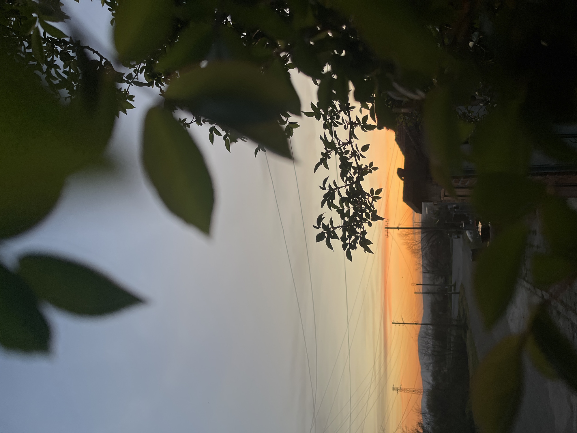 A twilight or dawn scene in Lozarevo, Bulgaria, viewed through foliage. The sky is graded from gray to orange, suggesting either sunrise or sunset. Utility poles and wires stretch along the horizon. A road is visible on the right side, with some indistinct vehicles and buildings. The foreground and top of the image are filled with blurred leaves and branches, creating a framed effect.