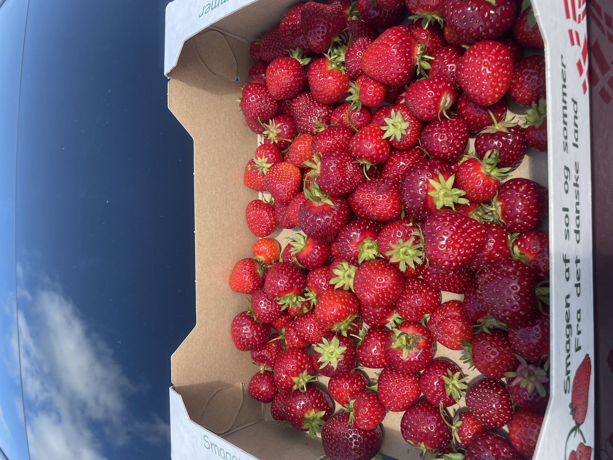 A close-up, top-down shot shows a carton filled with fresh, ripe strawberries. The carton is made of corrugated cardboard and is situated on a dark, reflective surface, possibly the hood of a car, which mirrors the sky and clouds. The strawberries are a vibrant red, with some showing their green leafy tops. The lighting suggests it is daytime and outdoors, with natural light illuminating the fruit. The carton has text printed on its side, reading "Smagen af sol og sommer Fra det danske land", which translates to "The taste of sun and summer From the Danish land." This text, combined with the Danish phrasing, indicates the strawberries are likely locally sourced from Denmark. While the specific location within Horsens, Denmark cannot be determined from the image alone, the context points to a setting where these Danish strawberries are being sold or displayed, such as a farm stand, market, or roadside vendor. There are no people or animals visible in the image.