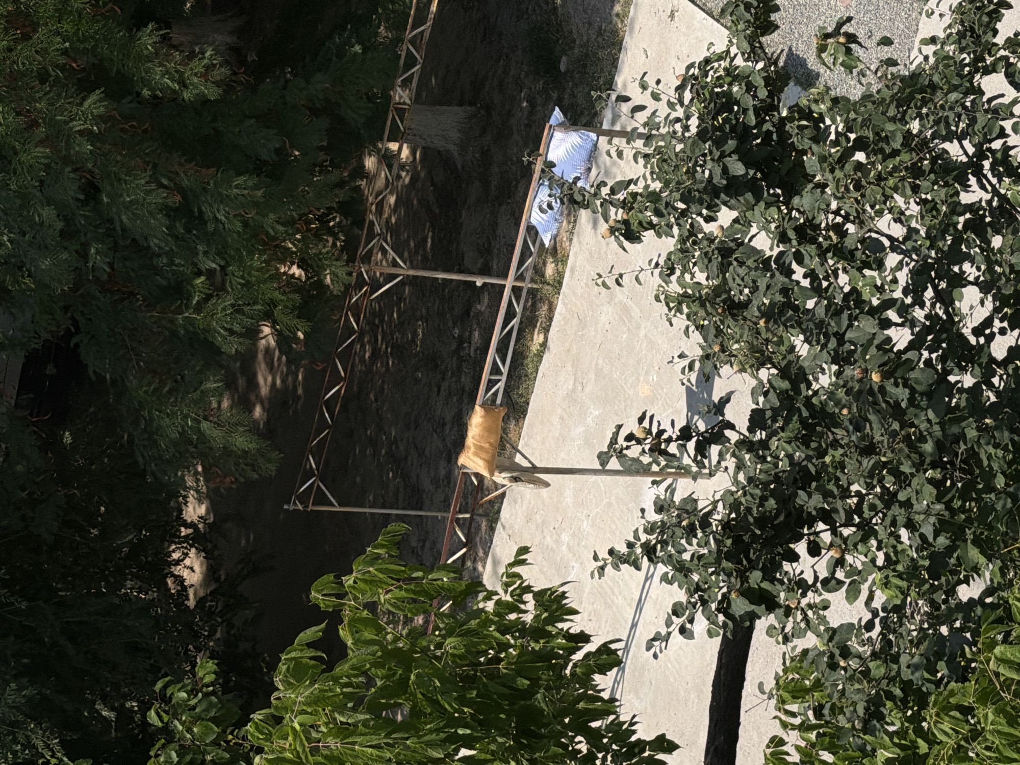 The image shows an outdoor scene, likely in Chirchik, Uzbekistan, featuring lush green foliage in the foreground and midground. A concrete pathway is visible, bordered by trees and a rough embankment. A metal structure, possibly part of a temporary shelter or fence, runs across the scene. On the pathway, two pillows are placed on a metal pole; one is tan and the other is white with a blue pattern. The sunlight casts shadows from the trees and the metal structure onto the pathway, indicating it is daytime. The overall impression is one of a quiet, natural setting within a developed area.