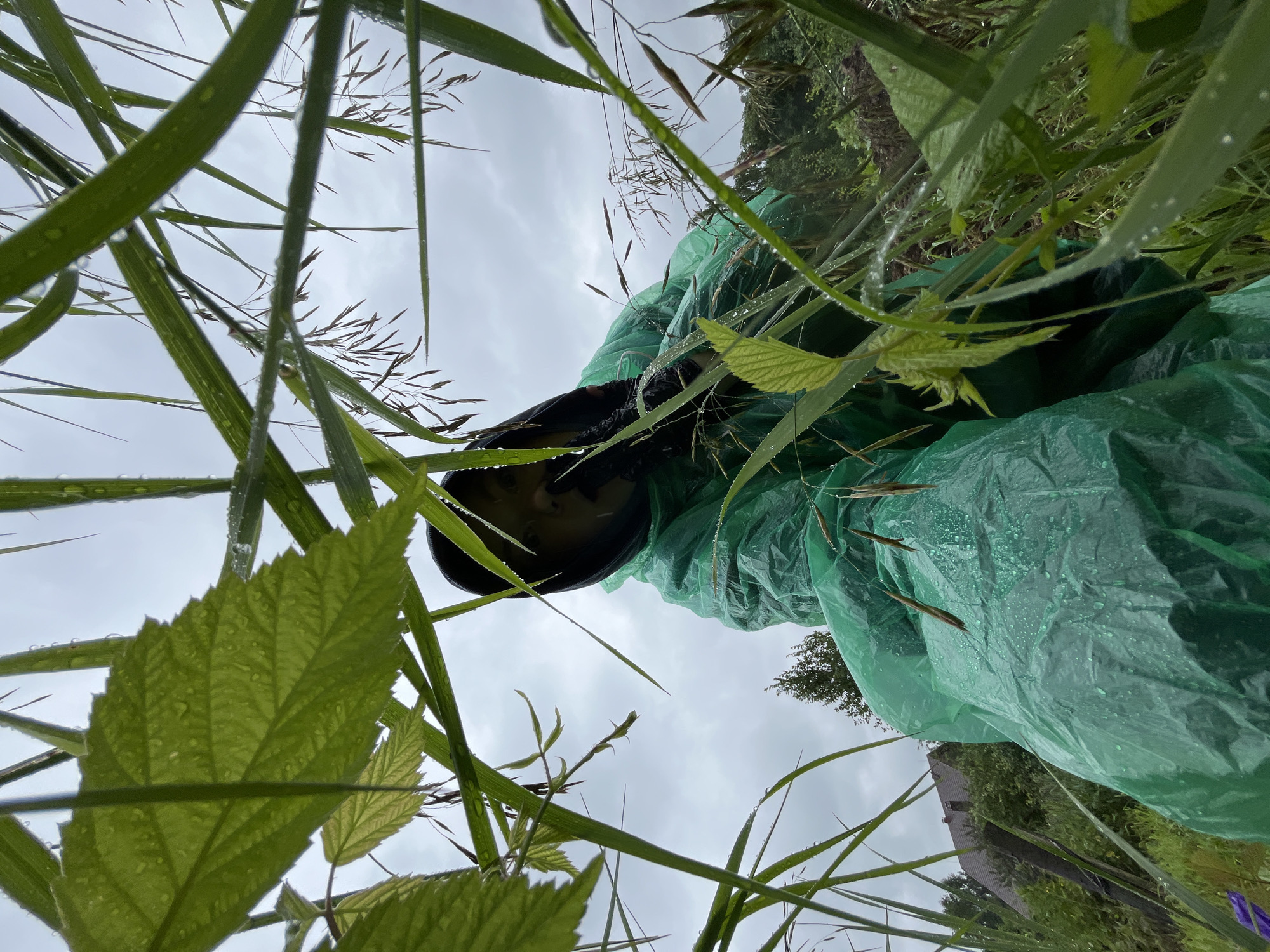 An extreme low-angle shot captures a person wearing a green disposable rain suit and a black hood, partially obscured by tall grass and foliage. The person is positioned in the center of the frame, looking upwards towards the camera. Water droplets are visible on the grass and the surface of the rain suit, indicating recent rainfall or a humid environment. In the background, a cloudy sky is visible, along with hints of trees and a building suggesting a rural or semi-rural setting, possibly in the city of Olkhovka, Russia. The overall impression is one of being close to nature, perhaps during an outdoor activity or work in wet conditions.