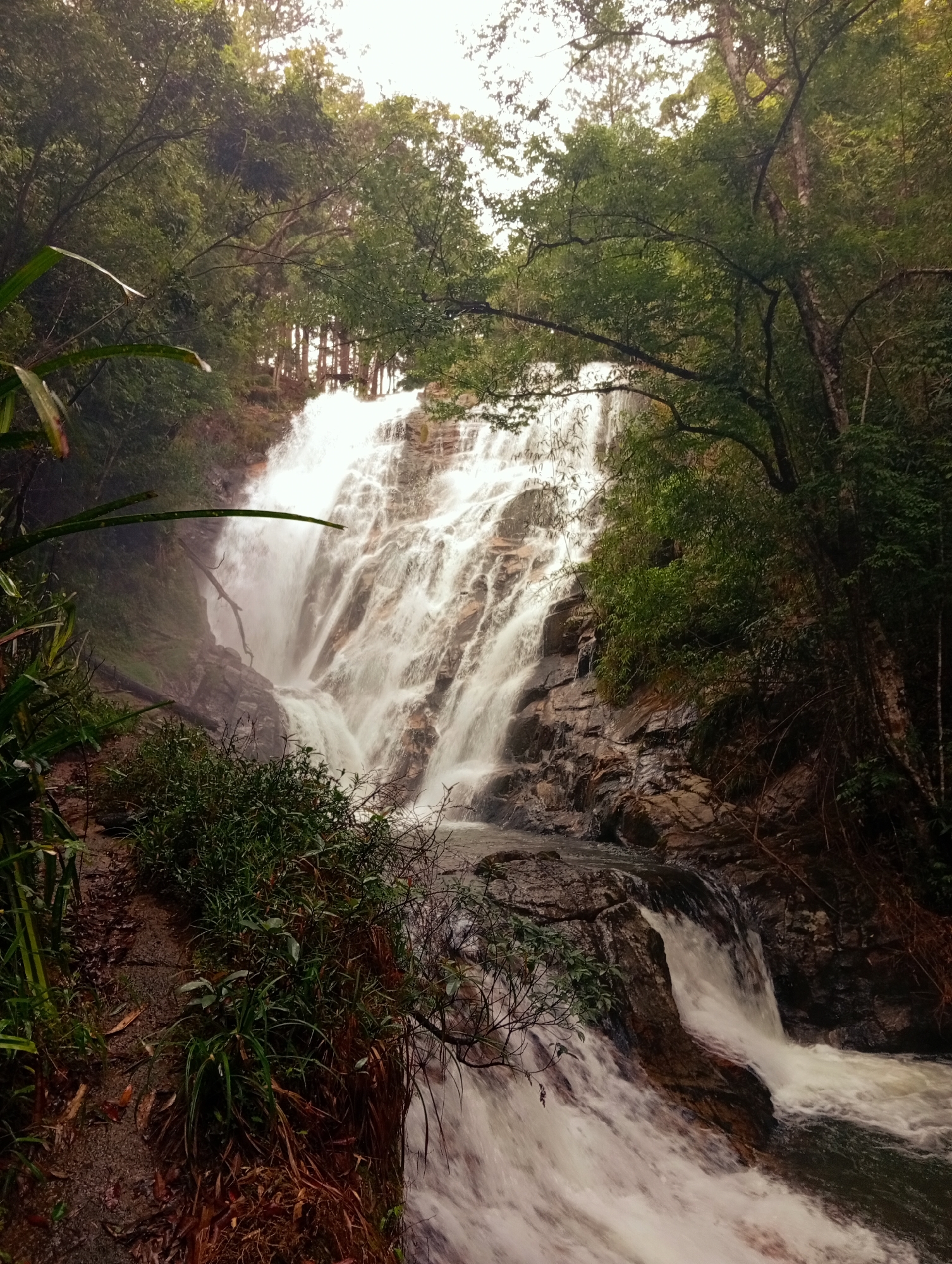 The image shows the Datanla waterfalls in Lạc Dương, Vietnam. Water cascades over a multi-tiered, rocky slope. Lush green vegetation, including trees and foliage, frames the waterfall. The ground near the lower part of the falls appears wet and muddy. The sky is overcast.
