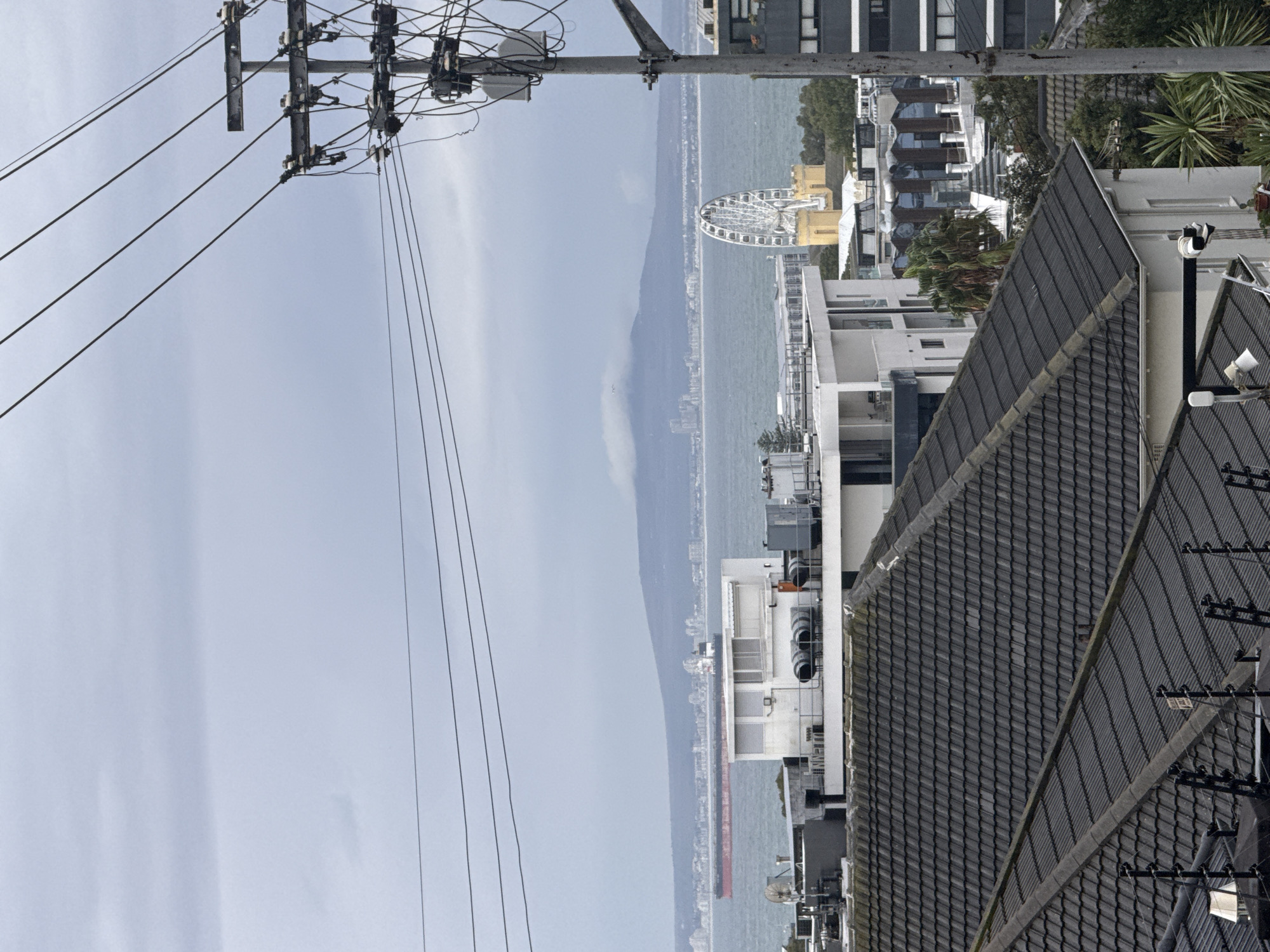 The image captures a scene in Cape Town, South Africa, with a view towards the Atlantic coastline. Prominently visible is the Cape Wheel Ferris wheel located at the V&A Waterfront. The photograph is taken from a slightly elevated perspective, with the foreground dominated by rooftops of buildings with dark tiling, along with power lines and a utility pole. The ocean stretches out in the middle ground, flanked by land. The sky is overcast and grey. There is a long ship traveling in the ocean. Some buildings are present along the shore.