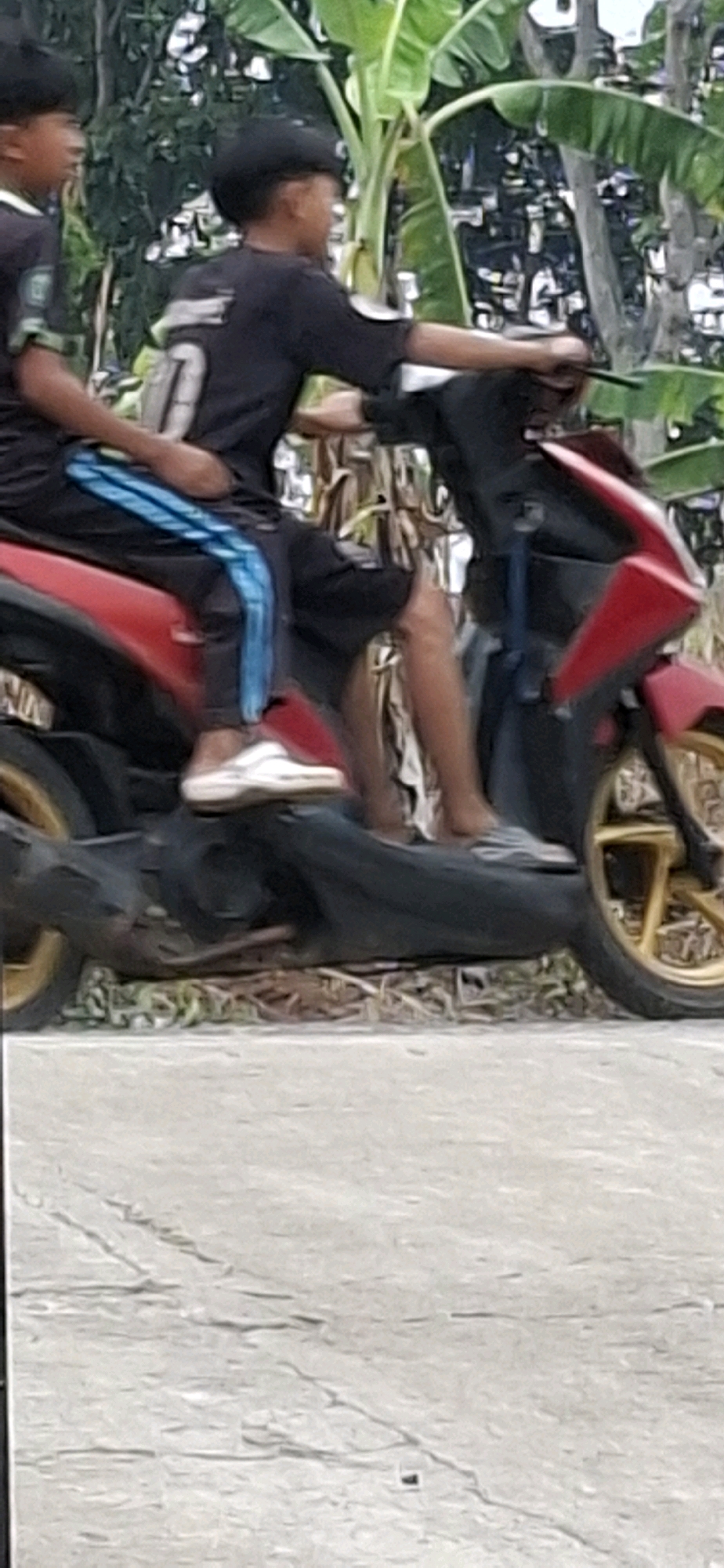 Two young boys are riding a red scooter on a paved path in a tropical environment. The boy in front is wearing a black t-shirt and black shorts, and a black baseball cap. He is looking to the left. The boy behind him is wearing a black t-shirt with blue stripes on the sleeves and black shorts with blue stripes. He is wearing white slip-on shoes and is looking forward. The scooter is red with black accents and gold wheels. In the background, there are large green leaves, likely from banana trees, and other foliage. The ground in the foreground is a light-colored concrete or asphalt. The overall scene suggests a warm, possibly humid day.