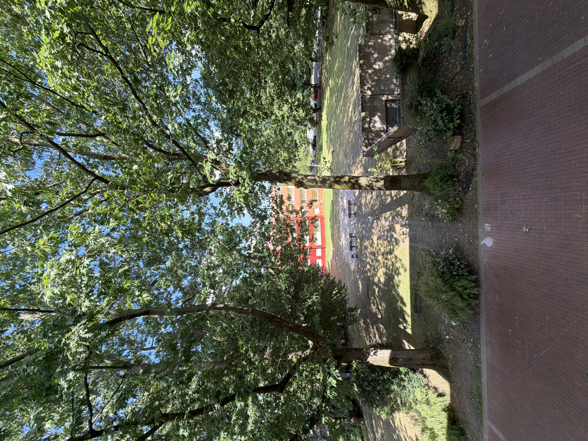 The image depicts a sun-dappled scene in Dorsten, Germany, likely during the daytime on a clear day. The foreground is dominated by the lush green canopy of mature trees, their branches reaching out and casting intricate shadows onto the ground below. Sunlight filters through the leaves, creating a mosaic of light and shade.
Beyond the trees, a grassy area is visible, appearing somewhat dry and patchy in places. A red building with multiple floors and windows stands prominently in the mid-ground, suggesting an urban or suburban residential area. In front of the building, there are a couple of park benches, hinting at a communal outdoor space.
To the right of the image, a paved walkway or patio made of reddish-brown bricks runs parallel to the grassy area. The brickwork shows a distinct pattern with a lighter-colored line running through it. The presence of trees, benches, and a residential building suggests a park, courtyard, or residential complex environment. There are no people visible in the frame, and the overall mood appears peaceful and serene, characterized by the play of sunlight and shadow. The scene is natural and undisturbed.