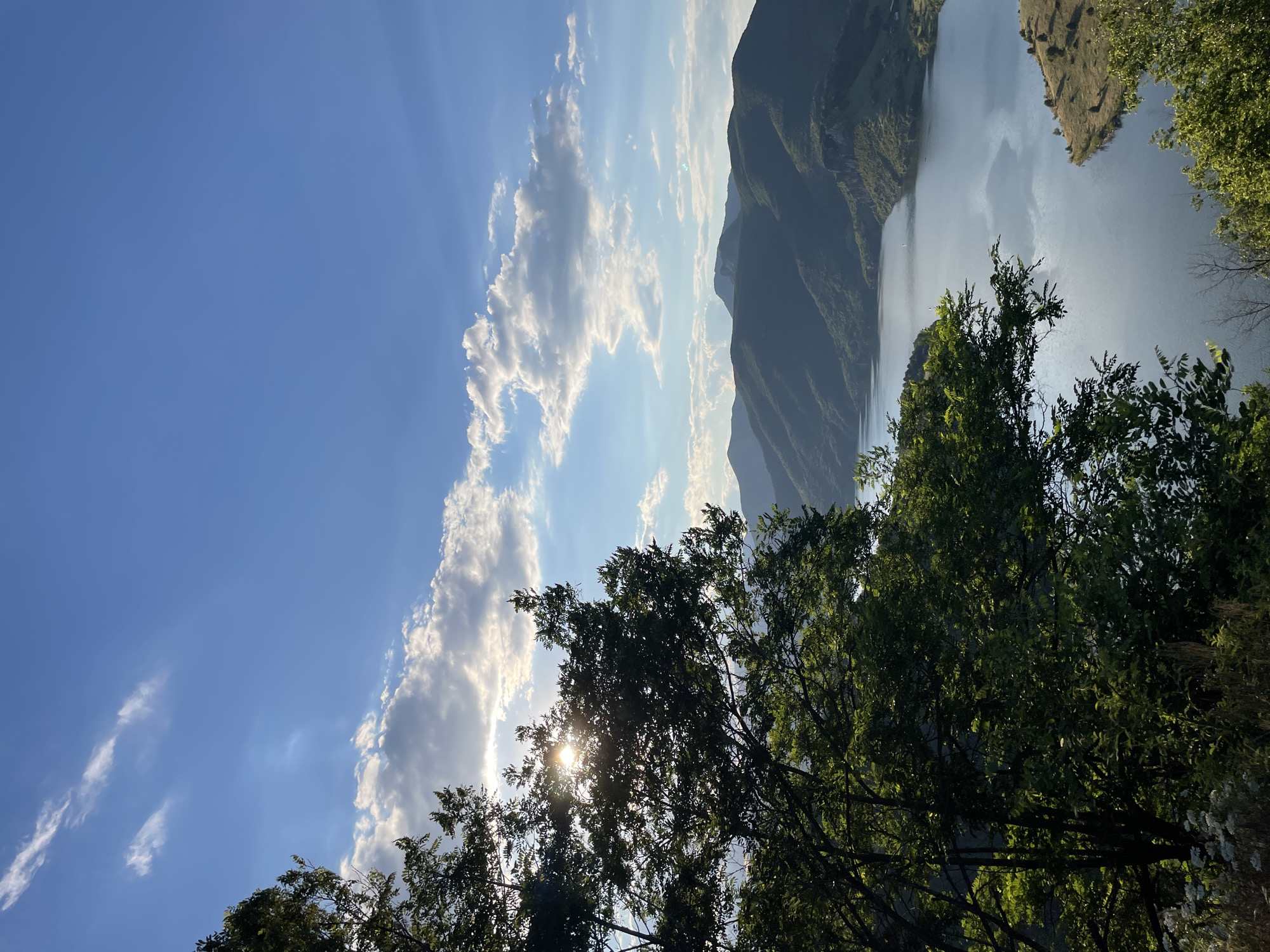 The image depicts a serene landscape view from a high vantage point overlooking the Borovitsa Dam in Borovitsa, Bulgaria. In the foreground, a dense cluster of green trees with intricate branches partially obscures the view. The sun is visible through the leaves of these trees, creating a dappled light effect. Beyond the trees, a large, calm body of water, the Borovitsa Dam, stretches into the distance. The water reflects the sky and the surrounding hills.
The middle ground is dominated by a series of rolling, verdant hills that slope down towards the dam. These hills are covered in lush greenery, with some rocky outcrops visible on their slopes. The overall topography suggests a mountainous or hilly region.
In the background, a clear blue sky is adorned with scattered white, fluffy clouds, some of which are illuminated by the sun. The sunlight casts a bright glow across the scene, highlighting the textures of the landscape and the water. The image captures a tranquil moment, likely during daytime, showcasing the natural beauty of the Borovitsa Dam area. There are no people or animals visible in the image.