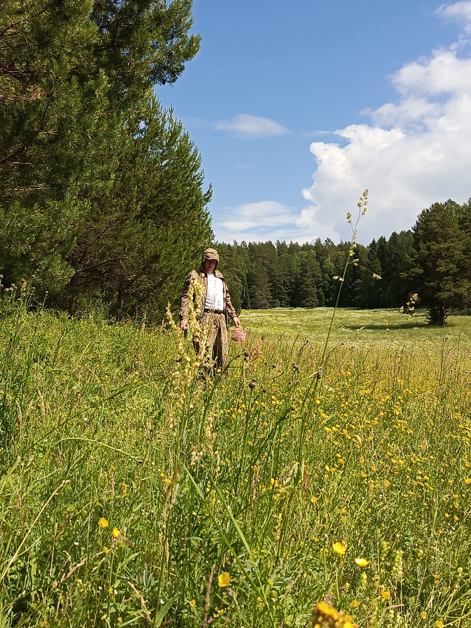 A person in camouflage clothing walks through a meadow in Chumna, Russia. The person is wearing a hat, a white shirt, and camouflage pants and jacket. They are carrying a red bucket in their right hand. The meadow is filled with tall green grass and small yellow flowers. In the background, there is a forest of pine trees and a blue sky with white clouds. The image appears to be taken on a sunny day.