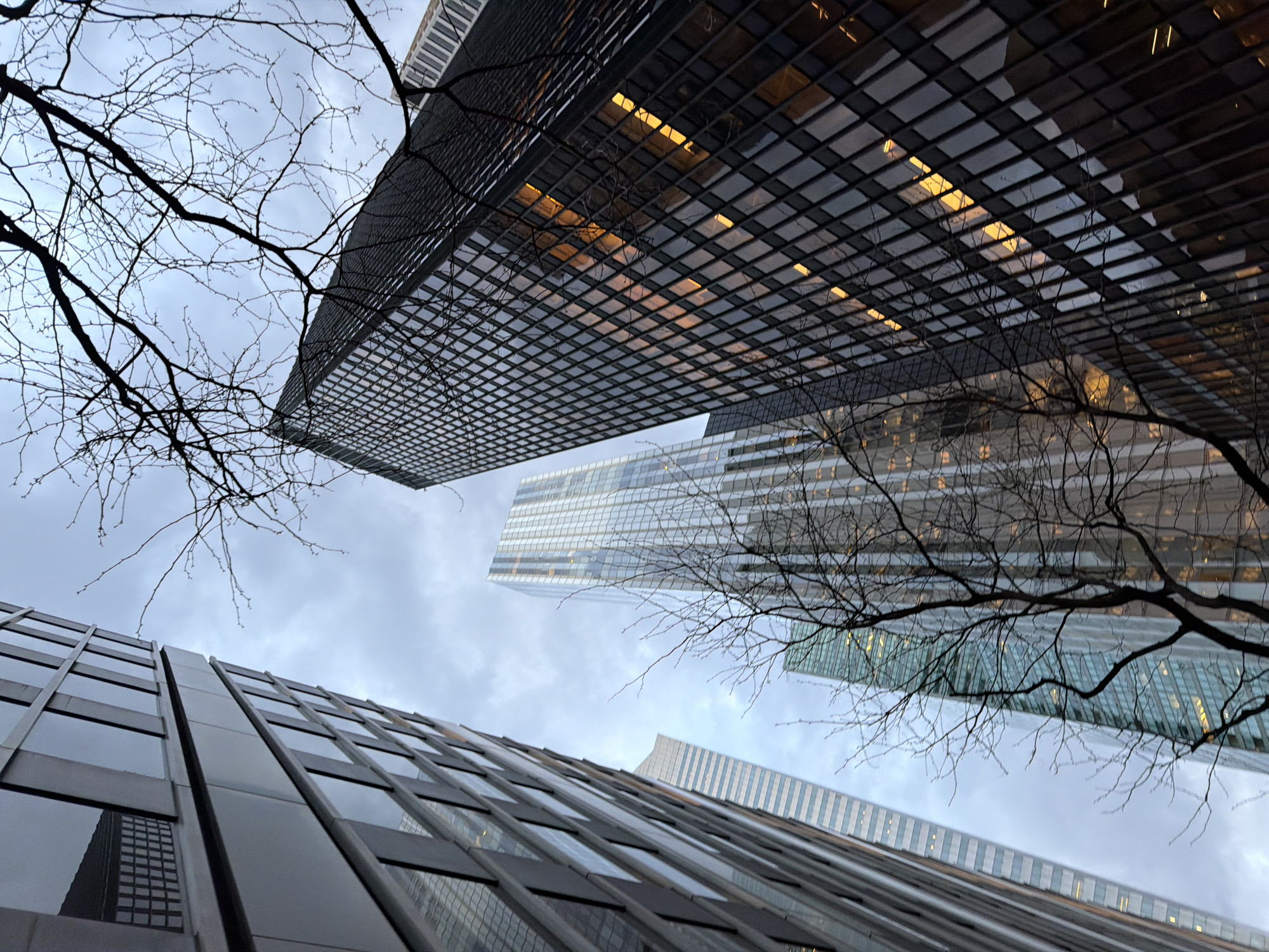 The image captures a low-angle view of several skyscrapers in an urban setting, likely New York City, USA. Three buildings are prominent: one with a dark, grid-like facade with some lit-up windows, a second with a light-colored, glassy surface, and a third with a partially visible, reflective exterior. Bare tree branches extend across the frame, adding a natural element to the architectural scene. The sky is overcast, suggesting a dull or cloudy day. The perspective is from below, looking upwards, emphasizing the height and scale of the buildings.