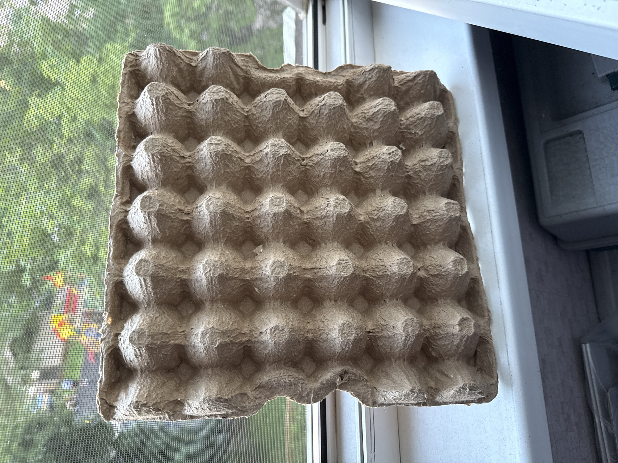 An empty, light brown, molded pulp egg carton is placed on a white windowsill. The egg carton has a dented and uneven edge on the left side, with rows of egg-shaped indentations filling the rest of the object. Behind the egg carton, a window covered with a gray mesh screen reveals a blurred outdoor scene. Trees with green leaves are visible, along with glimpses of colorful playground equipment, possibly red and yellow, and the indistinct shapes of people. The windowsill itself is white and shows a slight shadow cast by the egg carton. Below the windowsill, a dark gray object with a textured surface is partially visible.