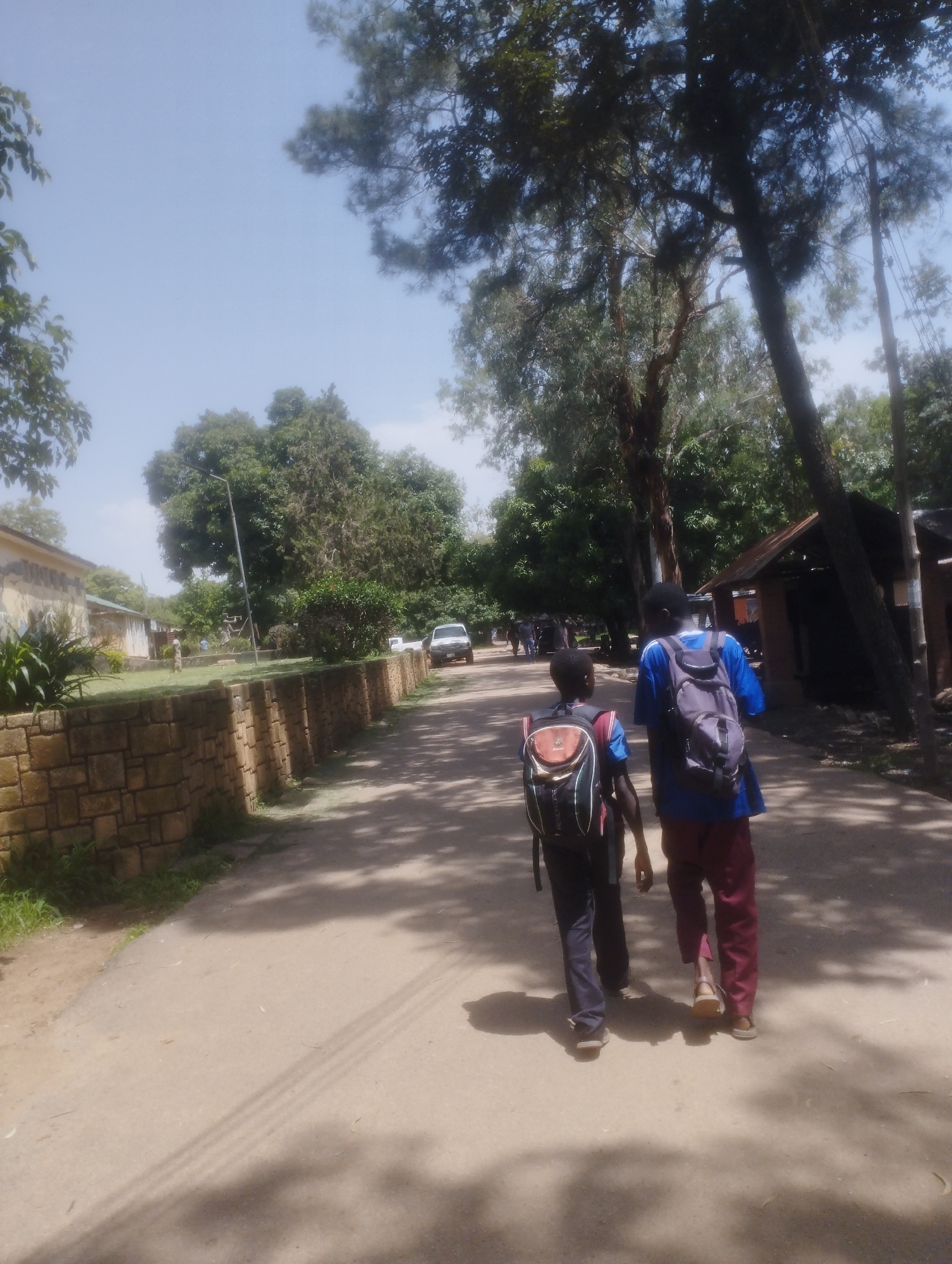 Two young people, likely students given their backpacks, are walking away from the camera down a paved road. The person in the foreground on the right wears a blue t-shirt and maroon pants. They have a grey backpack. The person to their left wears a red and blue t-shirt and dark pants, with a multi-colored backpack. They are walking on a sunny day, as indicated by the clear sky and shadows cast on the road. The road is bordered on the left by a low, stone wall with some vegetation growing on and around it. Beyond the wall, there is a building with a tiled roof. On the right side of the road, there are trees and some structures with corrugated metal roofs. In the distance, a white SUV is visible. The scene appears to be in a semi-rural or suburban setting, possibly a school campus, given the presence of students and the building. The overall atmosphere seems peaceful and ordinary, with the subjects walking together. No visible text is present in the image. The time of day appears to be midday, due to the angle of the sun and the strong shadows.