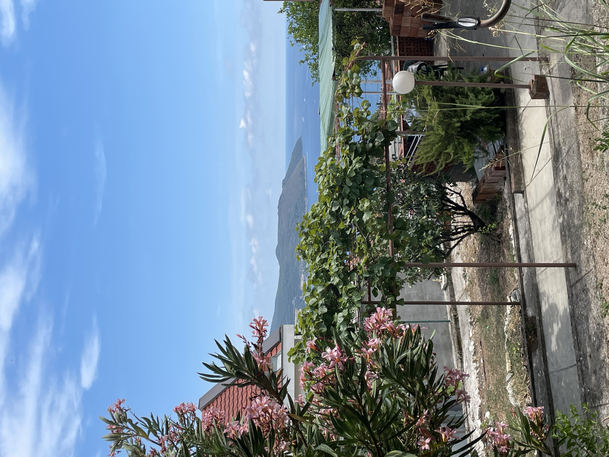 A high-angle, full outdoor shot captures a vibrant scene on a bright, sunny day in Herceg Novi, Montenegro. The foreground is dominated by lush greenery and pink flowers, hinting at a Mediterranean climate. A trellised vine with large leaves extends across the middle of the frame, casting dappled shadows on the concrete walkway below. To the left, a pink-roofed building peeks through the foliage, suggesting residential architecture.
In the midground, the azure Adriatic Sea stretches out, dotted with a few distant boats. The coastline is framed by rolling green hills, with a town or village nestled along the shore. A light green awning provides shade over a section of the garden.
The background consists of a clear blue sky with scattered white clouds. On the right side of the image, a white spherical lamp stands on a brick base, and a partial view of a brick wall is visible. The scene conveys a sense of tranquility and natural beauty, typical of coastal Montenegro. There are no people or animals visible in the frame.
