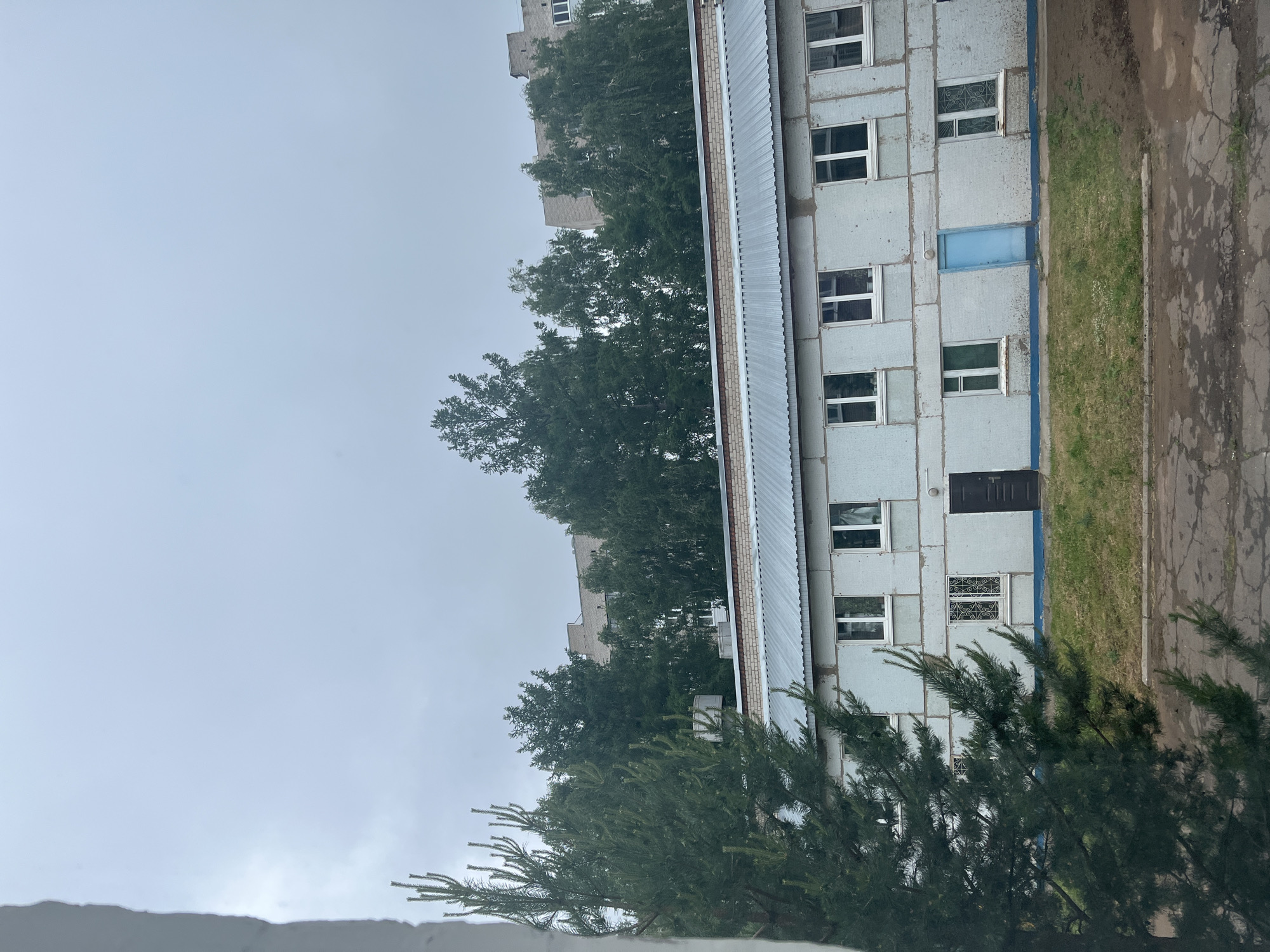 The image shows a building in the city of Chaikovsky, Russia, likely a multi-story apartment complex. The building is constructed of prefabricated concrete panels, painted a light grey. It has a metal roof and several windows, some with ornate metal grilles. A blue door is also visible. A row of trees separates the building from another similar structure in the background. A grassy area borders the building, and a cracked concrete sidewalk is present. The sky is overcast. A coniferous tree is visible in the foreground, partially obscuring the view. No people are visible in the image.