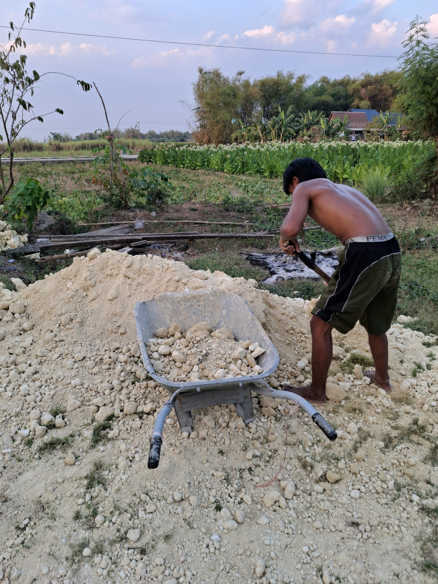 In the city of Sembung, Indonesia, a bare-chested individual is engaged in manual labor. The person, wearing dark shorts with a green accent, is using a shovel to move light-colored soil. A wheelbarrow filled with rocks and soil sits nearby, suggesting the ongoing construction or land clearing. The background features a rural landscape with lush greenery, trees, and distant houses under a cloudy sky. The ground is covered in dirt, rocks, and sparse vegetation.