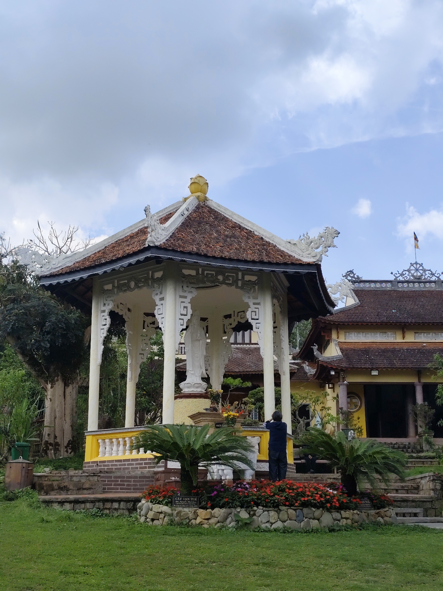 This image depicts a serene scene at a temple complex in Da Lat, Vietnam, characterized by traditional architecture and lush greenery under an overcast sky.
In the foreground, a white gazebo with a distinctive brown tiled roof stands prominently. The roof is adorned with intricate white dragon-like figures at its corners and a golden, lotus-shaped finial at its peak. Inside the gazebo, a white statue, likely of Guanyin, is visible on a yellow base, surrounded by offerings. The gazebo's structure features white patterned railings and pillars, with a yellow-painted base and a white balustrade.
Immediately in front of the gazebo are well-maintained flower beds, showcasing vibrant red and pink blossoms, bordered by natural stones. Small sago palms (Cây Vạn Tuế) are planted among the flowers. A sign partially obscured by foliage clearly displays the text "CÂY VẠN TUẾ" with additional smaller Vietnamese text below it. Stone steps lead up from the grassy foreground towards the gazebo and the main temple building.
A person, dressed in dark clothing, is seen from behind, standing near the flower beds, appearing to observe or photograph the scene towards the larger temple structure.
Behind the gazebo and to its right, a larger temple building with yellow walls and a brown tiled roof is partially visible. This building also features ornate roof decorations, including intricate carvings and a prominent dharma wheel symbol on its ridge, from which a yellow flag with red details flies.
The setting is rich with greenery, including large trees to the left and various potted plants and shrubs throughout the garden. The sky above is overcast with light grey clouds, indicating a cloudy daytime setting. The overall atmosphere is peaceful and spiritual.