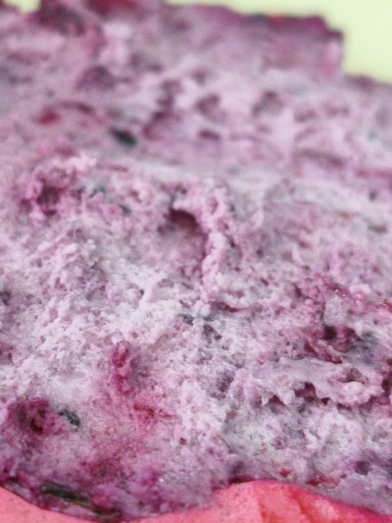 The image is a close-up, macro photograph of a textured, pinkish-purple substance, possibly food, such as ice cream or a dessert. The texture is uneven with a frothy or granular appearance, and there are darker specks embedded within it. The lighting suggests it is indoors or under artificial light. The image does not contain any elements that would indicate a specific location in Orenburg, Russia, or any discernible human activity.