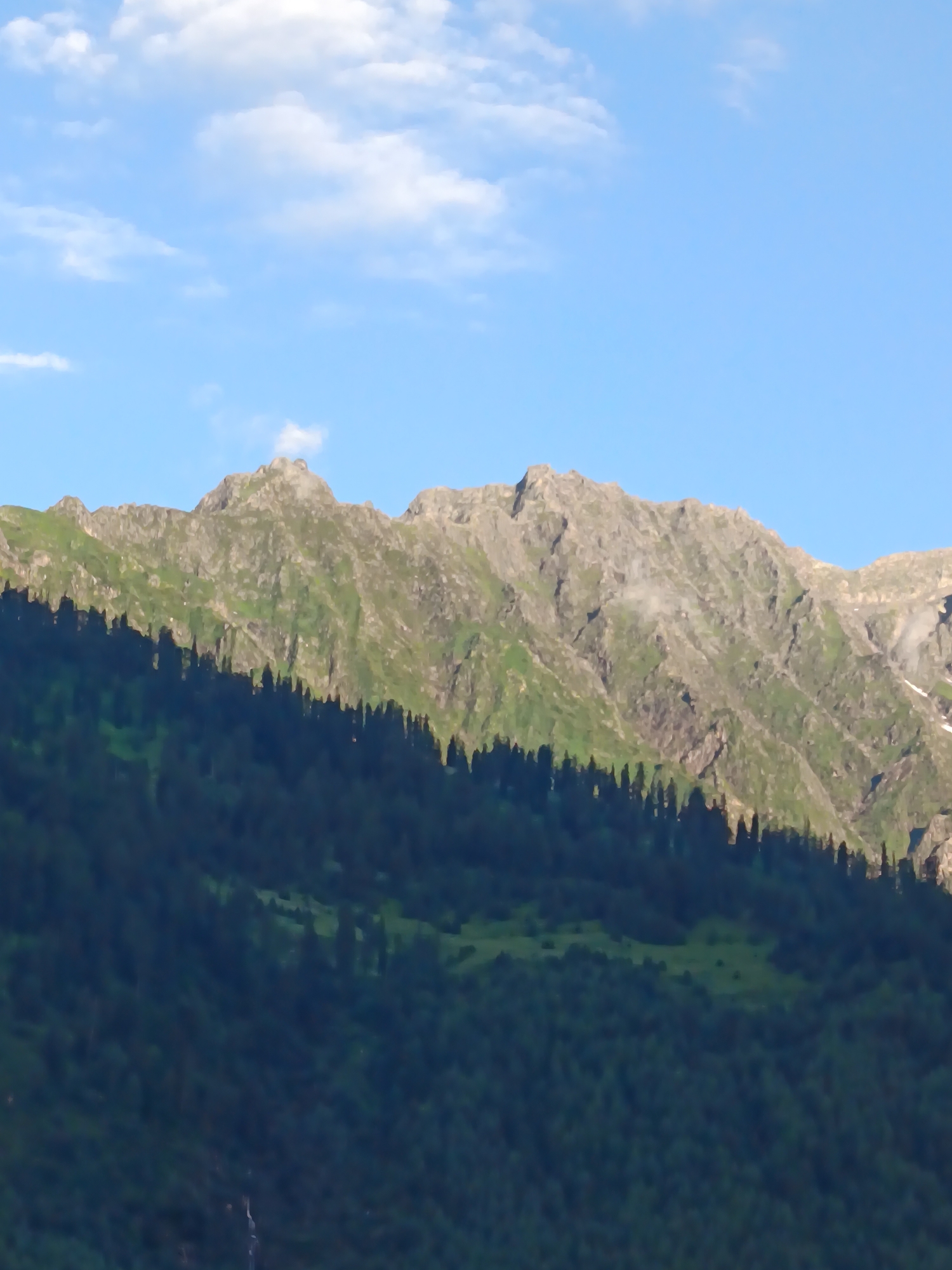 The image depicts a panoramic view of lush green mountains under a clear blue sky with scattered white clouds. The mountains are covered in dense vegetation, with patches of rocky, bare terrain visible towards the peaks. A sharp line of dark trees creates a silhouette along the lower slopes, casting a deep shadow. The scene suggests an elevated viewpoint overlooking a mountainous landscape, characteristic of the Vashisht region in India, known for its scenic beauty and natural terrain. There are no visible people or man-made structures in the frame.