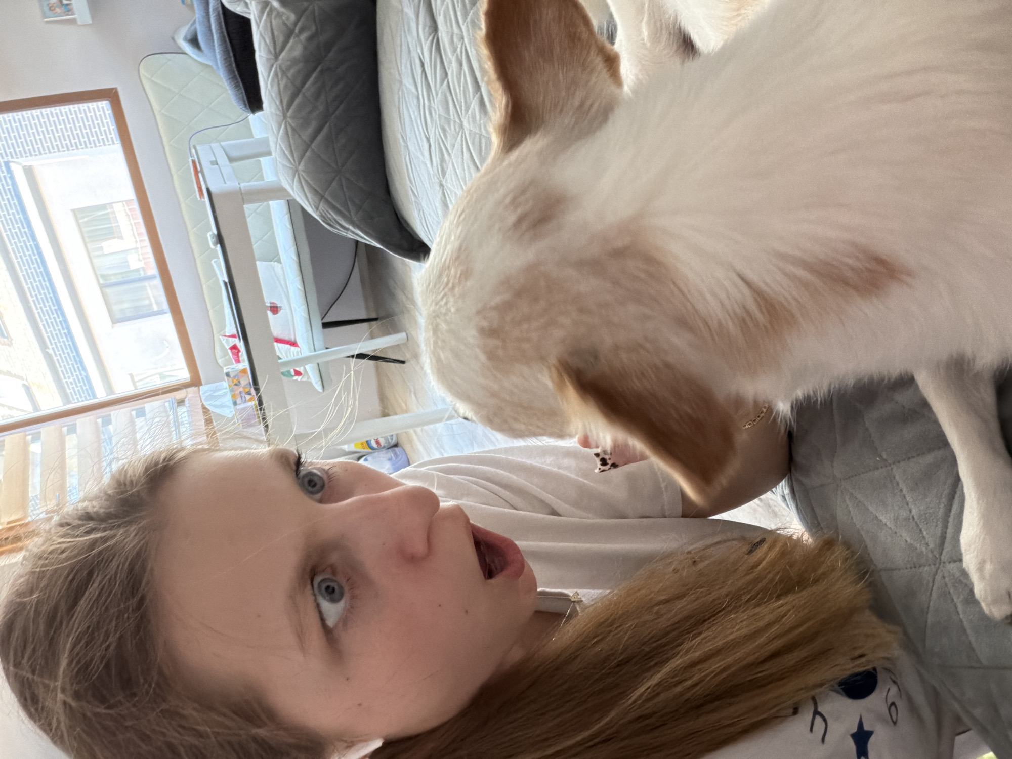 A young woman with wide, surprised blue eyes and an open mouth is looking at a small dog in the foreground. She has long, light brown hair and is wearing a white t-shirt. The dog, partially visible and facing away from the camera, has white and light brown fur. They are in an indoor setting, likely a bedroom, with a bed in the background covered with a grey quilted comforter. There is a desk with a white bench and a window with blinds in the background. The image does not contain any information about the city of Burgas, Bulgaria.