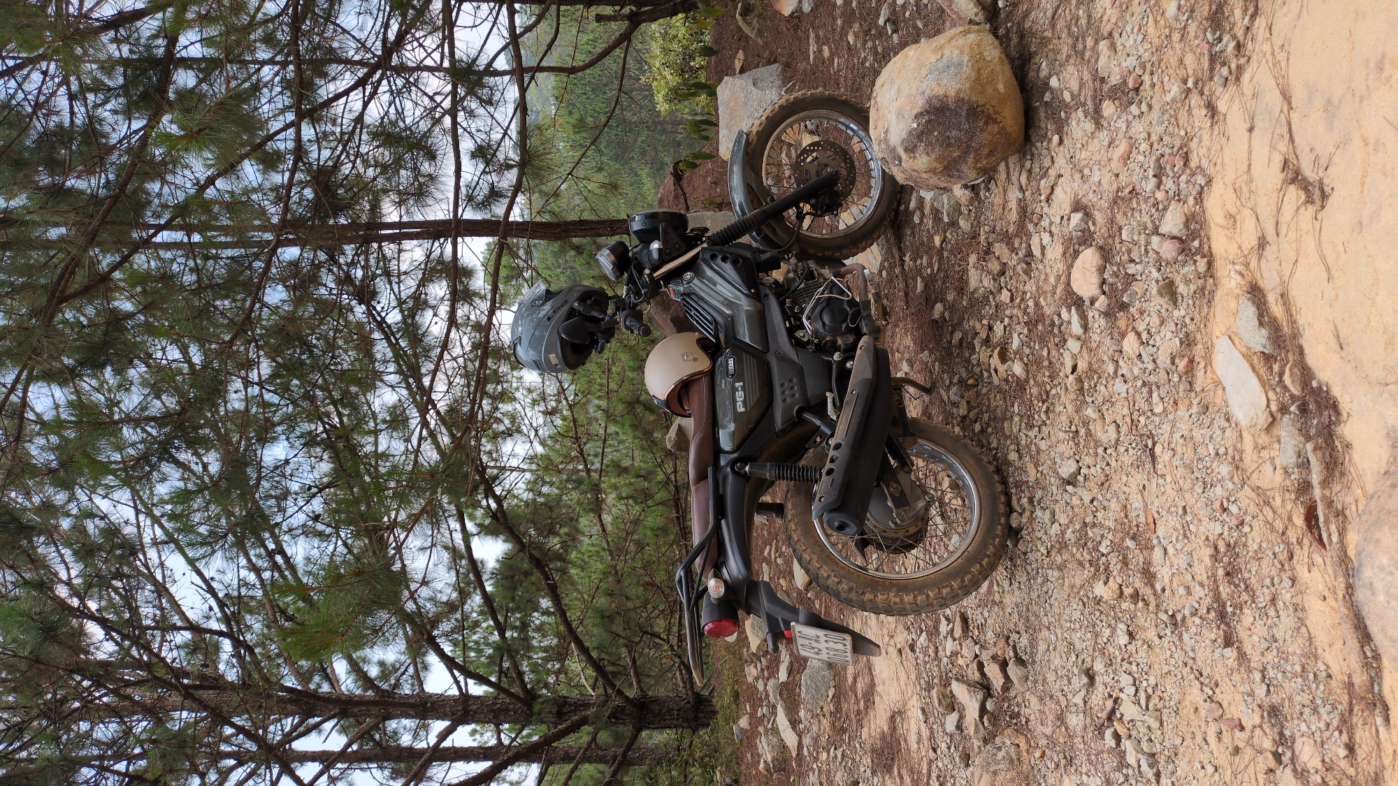 A black motorcycle, identifiable by the "PG-1 YRS" marking on its side, is parked on a rocky, dirt ground strewn with pine needles. The motorcycle is facing towards the right side of the frame, with a tan helmet resting on the seat and a grey helmet hanging from the handlebars. The surrounding environment consists of pine trees with dense branches overhead, some of which are obstructing the sky. A large rock sits near the front wheel of the motorcycle. The ground appears to be a mixture of dirt, small rocks, and some larger rock formations. Based on the tree types and terrain, this scene is consistent with a location in the highlands of Lang Biang - Da Lat, Vietnam.