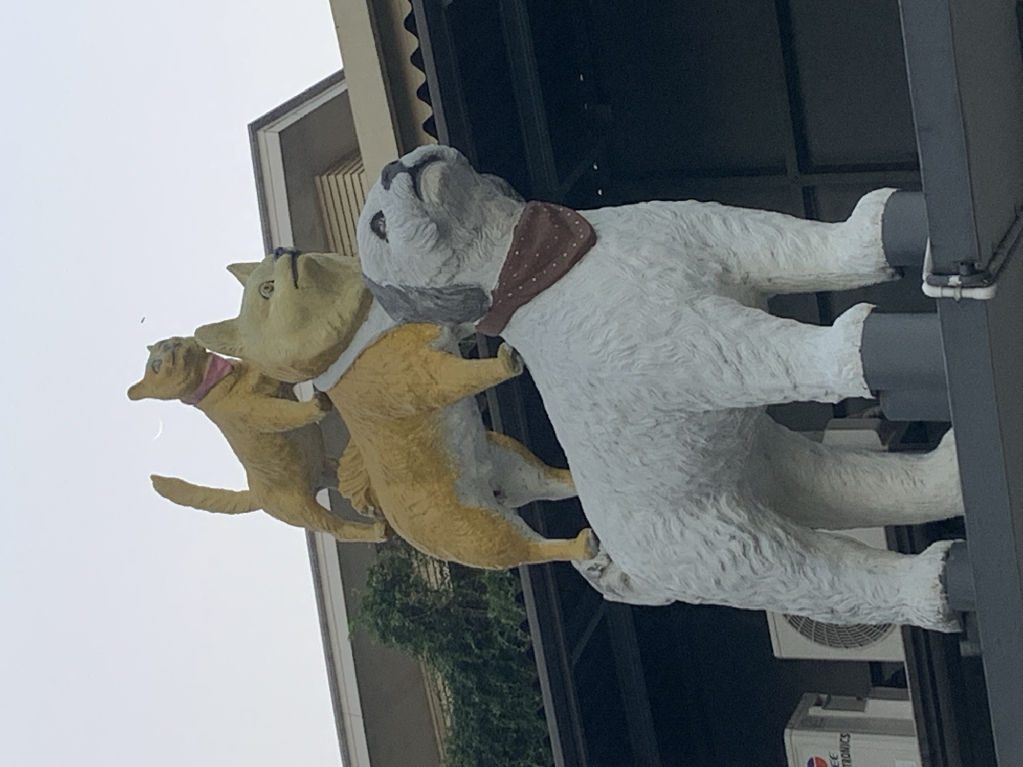 The image shows a statue of three dogs on a building facade in Kuta, Indonesia. The dogs are sculpted in a whimsical, cartoon-like style. The largest dog, a white, fluffy canine with a reddish-brown bandana, is positioned in the foreground and appears to be looking upwards with its mouth slightly open. Behind it, two smaller yellow dogs are positioned in a staggered arrangement, with the one on the left appearing to be leaping forward. The statue is mounted on a dark grey structure, and to the right, an outdoor air conditioning unit is visible. The background is a bright, overcast sky, suggesting it could be daytime. The overall impression is one of playful and cheerful decoration. There is no visible text in the image.