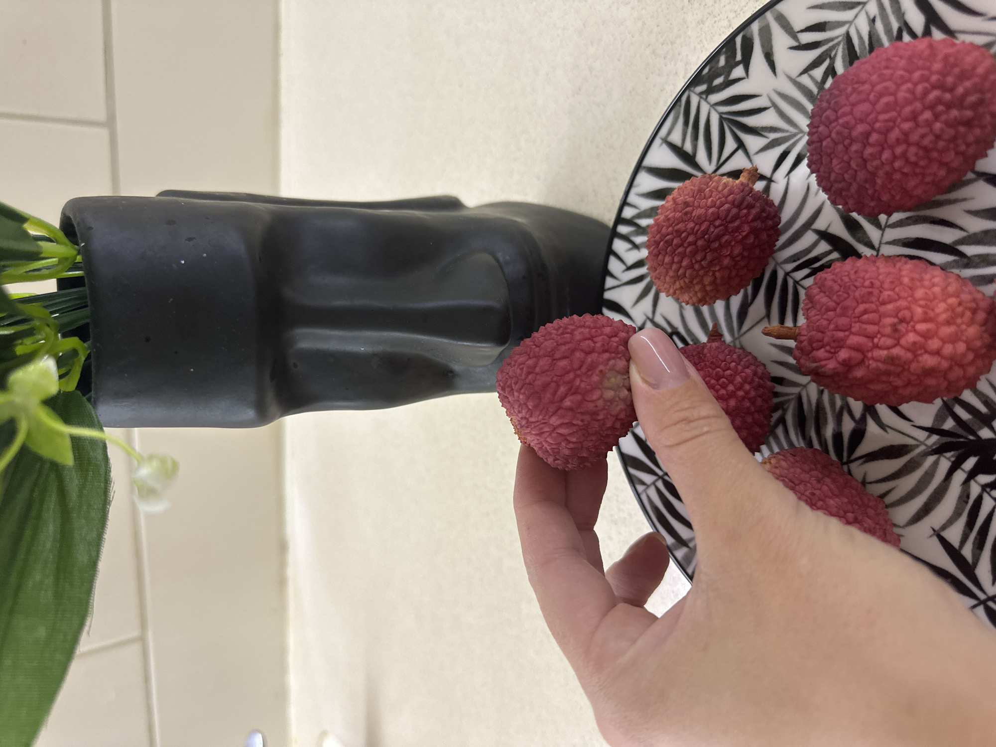 A hand is holding a lychee fruit over a black and white patterned plate filled with several other lychee fruits. In the background, there is a black vase shaped like a Moai statue, containing some green artificial plant leaves and white flowers. The scene is set on a countertop in what appears to be a kitchen. The lighting suggests an indoor environment, possibly during the daytime. There is no indication of the location being Petah Tikva, Israel.