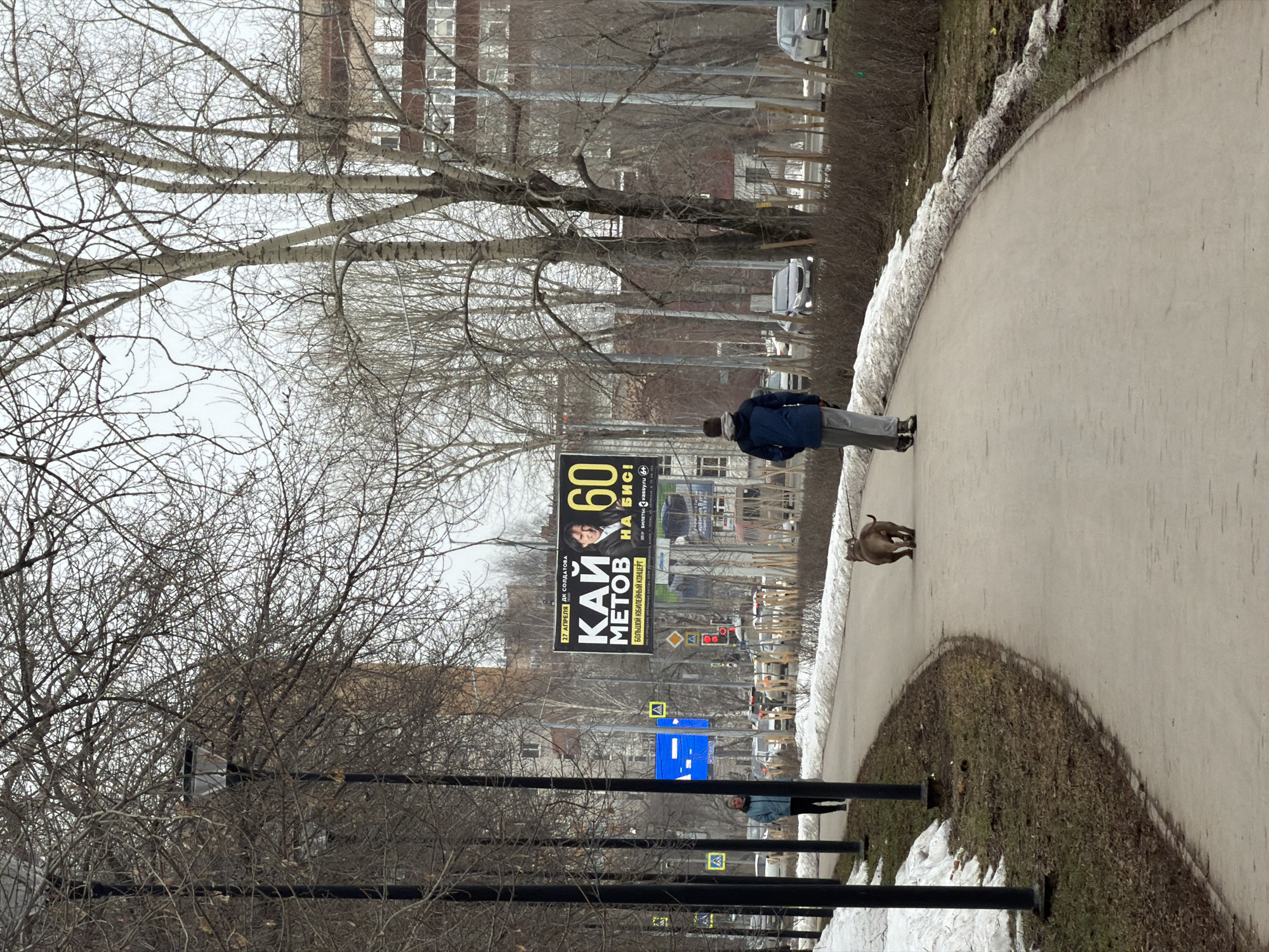 The image depicts an urban park-like setting or wide pedestrian area in Perm, Russia, specifically near Oktyabrskaya Square, 1, as indicated by billboard text. The scene is observed under an overcast sky, suggesting late winter or early spring conditions with bare deciduous trees and melting snow patches.
In the foreground and mid-ground, a paved path curves from the lower left towards the upper right. A male individual, wearing a blue hooded jacket and grey pants, walks away from the camera along this path, accompanied by a medium-sized, brown, short-haired dog which walks ahead of him. To the left of the path, several black streetlights are uniformly spaced, interspersed with bare trees and patches of melting snow and exposed brown earth.
Further along the path, in the mid-ground to the left, a female individual wearing a light blue jacket and dark pants walks towards the camera.
In the background, a multi-lane road is visible, separated from the path by a strip of bare ground and melting snow. Several vehicles, including cars, are present on the road. A large billboard dominates the right mid-ground, displaying an advertisement for a concert by "KAI METOV" (Кай Метов) for his 60th birthday, scheduled for April 27 at DK Soldatova, with ticket information referencing Perm, Oktyabrskaya Square, 1. Further in the background, multi-story buildings, including a prominent reddish-brown structure with numerous windows, are visible through the network of bare tree branches. Yellow triangular pedestrian crossing signs are discernible along the roadside.