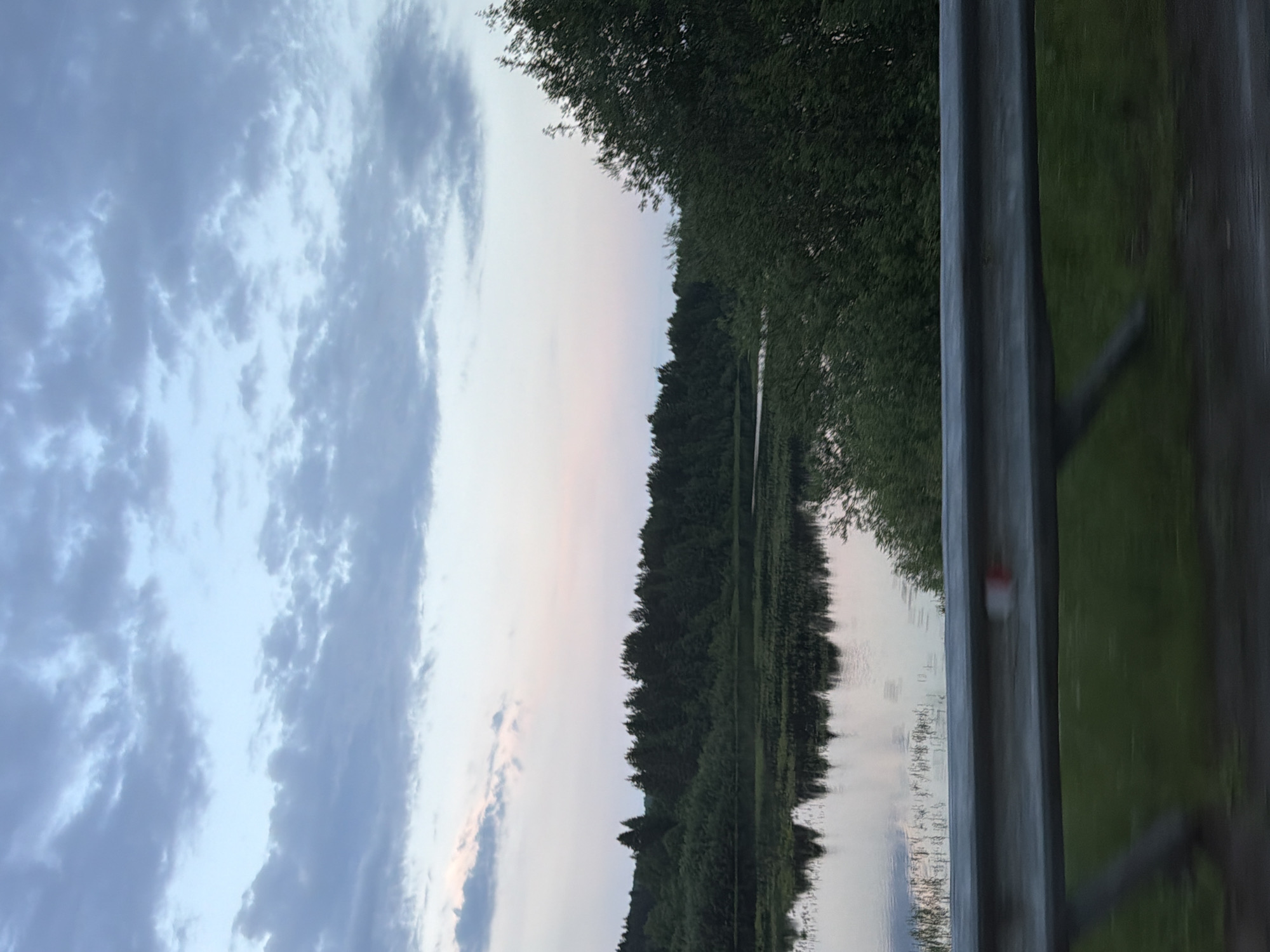 The image captures a serene natural landscape, likely near the city of Tyulkino, Russia. A calm body of water, possibly a river or lake, dominates the foreground and midground, reflecting the overcast sky and the dense, dark green treeline that stretches across the horizon. The trees are predominantly coniferous, with some deciduous varieties interspersed. The sky is a soft gradient of pale blue and wispy, grey clouds, with hints of pink and pale orange near the horizon, suggesting either sunrise or sunset. In the lower portion of the image, a weathered metal guardrail runs horizontally, obscuring some of the grassy embankment and a portion of the water. The overall impression is one of tranquility and natural beauty, characteristic of a rural or semi-rural setting.