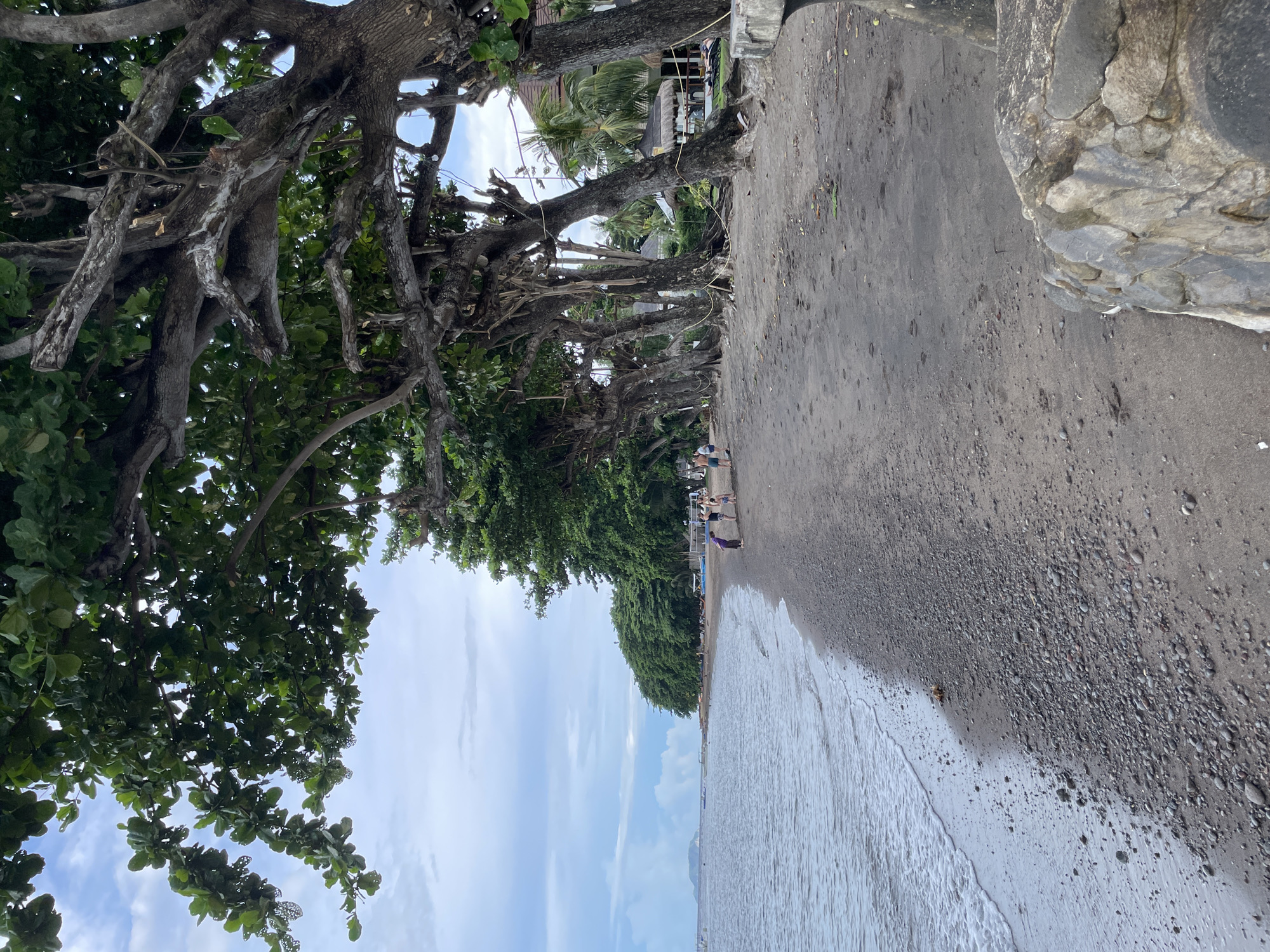 This image depicts a beach scene in Dauin, Philippines. The foreground features a sandy and pebbly shoreline with the ocean waves gently lapping at the shore. Large, mature trees with gnarled branches line the edge of the beach, providing shade. In the middle ground, a few individuals are visible, appearing to be strolling or interacting on the beach. Further in the background, there are structures that suggest a resort or residential area, with thatched roofs and palm trees. The sky is overcast with some clouds, indicating a possibly temperate or rainy day. The overall atmosphere is tranquil and natural.