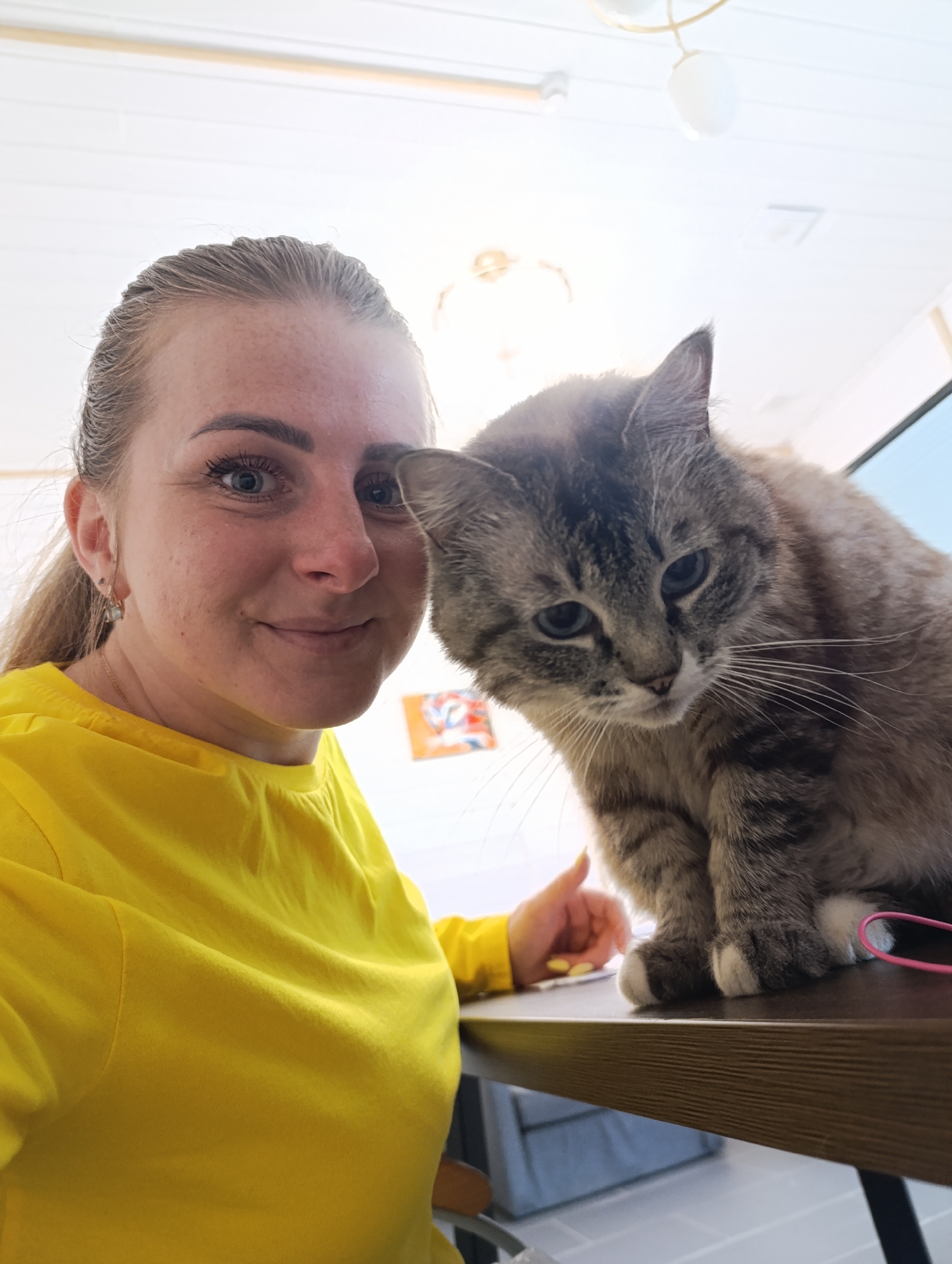 A woman in a yellow shirt is taking a selfie with a cat sitting on a brown table. The woman is smiling and has light skin and blonde hair pulled back in a ponytail. The cat is gray and white with blue eyes. Behind them, there is a white wall, a light fixture, and part of a monitor. The location appears to be indoors, possibly an office or home.