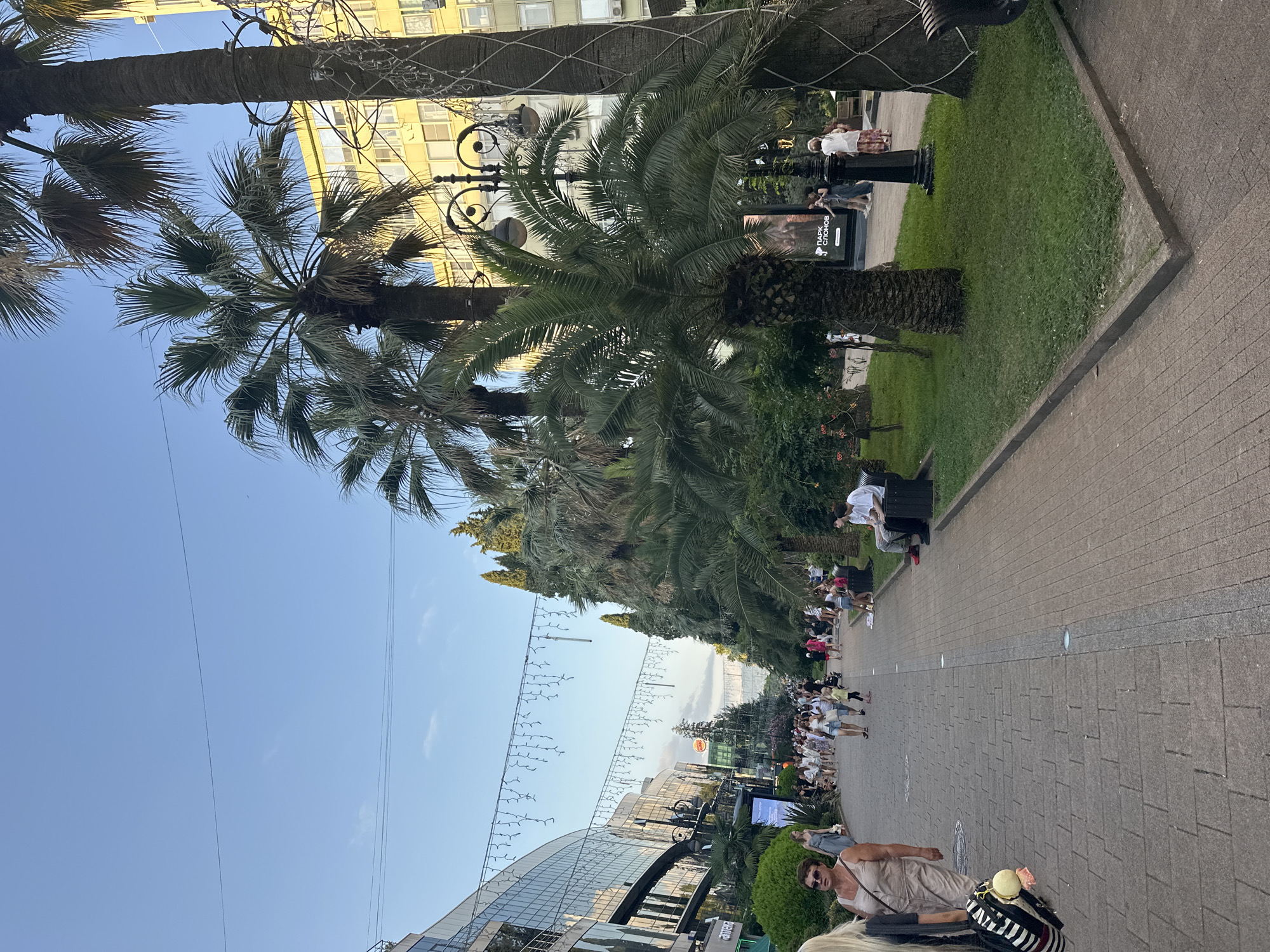 The image depicts a pedestrian street in Sochi, Russia, likely during daylight hours given the clear sky. Palm trees line the street, interspersed with other greenery and some cypress trees. On the left side of the street, there is a modern building with a curved glass facade, likely housing shops or businesses. String lights are draped across the street overhead, suggesting it is a popular area for strolling.
On the right side of the street, there are more palm trees and a yellow building in the background. A decorative lamppost is visible, and another tall tree trunk wrapped in decorative netting is on the far right.
Several people are walking along the paved walkway, some are sitting on benches, and a few are standing near a display. The attire of the people suggests a warm climate. A sign that reads "ПАРК СЛОНОВ" (Park of Elephants) is visible on a display. The overall atmosphere appears to be relaxed and leisurely, characteristic of a resort town.