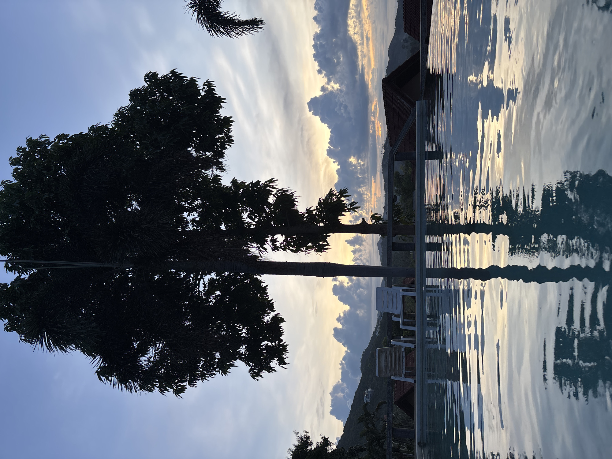 This is a vertical, landscape-oriented photograph of a tropical scene at sunset. The foreground is dominated by a dark silhouette of a tree with lush foliage and a thick trunk. To the right of the tree, a swimming pool with rippling water stretches into the frame. The water reflects the sky, creating streaks of light and color.
Beyond the pool, there are hints of man-made structures, possibly buildings with red roofs, and lounge chairs. In the background, a body of water, likely the ocean, is visible with a mountainous coastline on the right side of the frame. The sky is dramatic, with a mix of light blue sky, wispy white clouds, and darker, heavier clouds tinged with the warm hues of sunset. The overall mood is tranquil and serene, capturing the beauty of a tropical evening. The time of day is clearly sunset, and the weather appears calm, with the gentle ripples on the water suggesting a slight breeze. There is no visible text in the image.