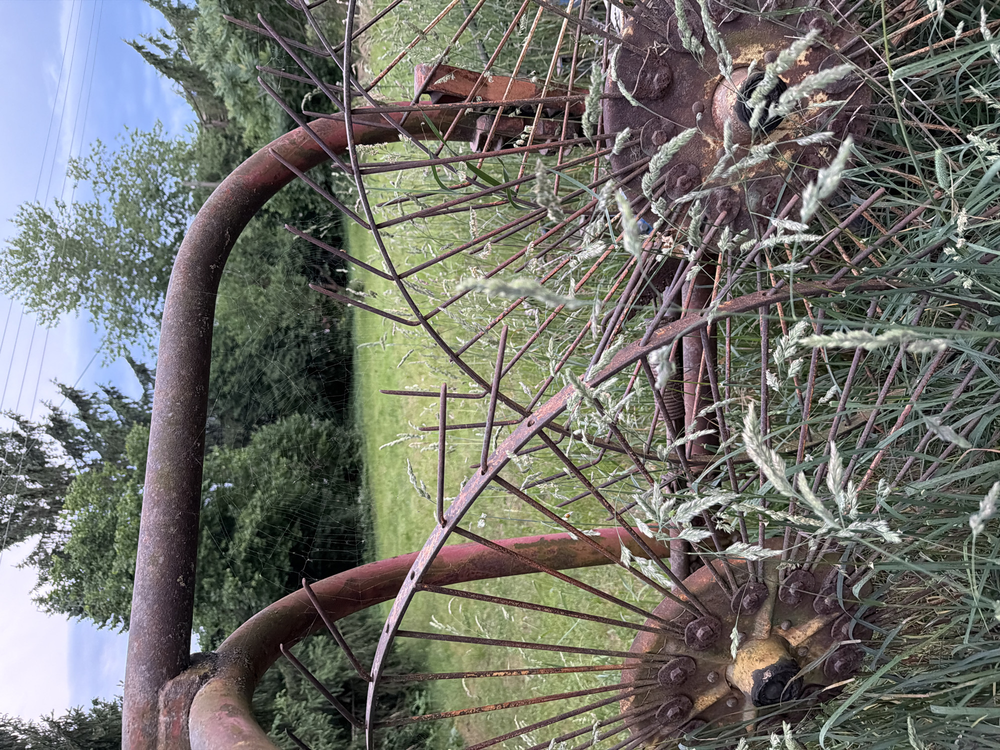 An abandoned piece of farm equipment, likely a hay rake, sits in a grassy field, partially obscured by tall weeds. The metal frame is rusted and worn, with a large, spoked wheel visible in the foreground. The background consists of trees and a cloudy sky. The image appears to have been taken in Poing, Germany, given the context. No people or animals are present.