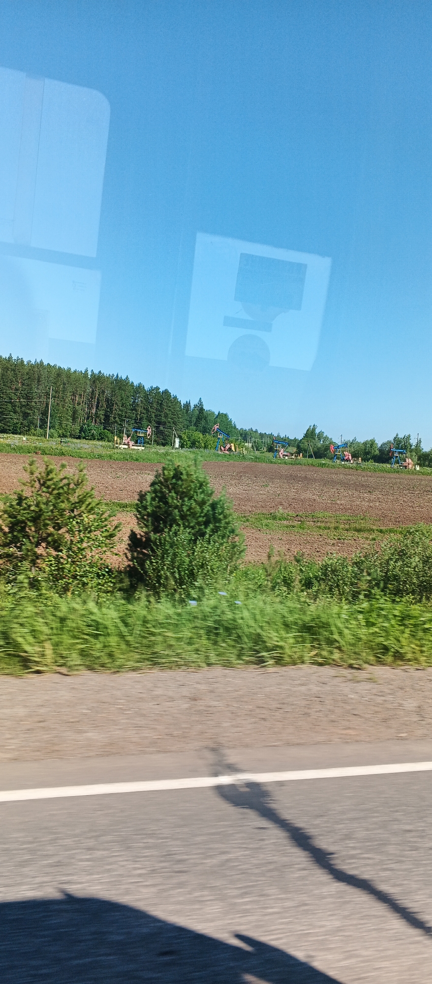 An eye-level, medium shot captures a scene near Buranovo, Russia, on a sunny day, looking out over a field and treeline. In the foreground, a blurred asphalt road with a white line runs horizontally across the bottom of the frame, casting long shadows. Beyond the road, tall green grass is also blurred, suggesting motion. Further back, a tilled brown field is visible, dotted with sparse green plants. A dense line of green trees forms a backdrop behind the field, with some sparse foliage and structures scattered within the treeline. Several pumpjacks, painted red and blue, are visible among the trees. The sky is a clear, bright blue, with faint reflections of square and circular shapes, possibly from a window.