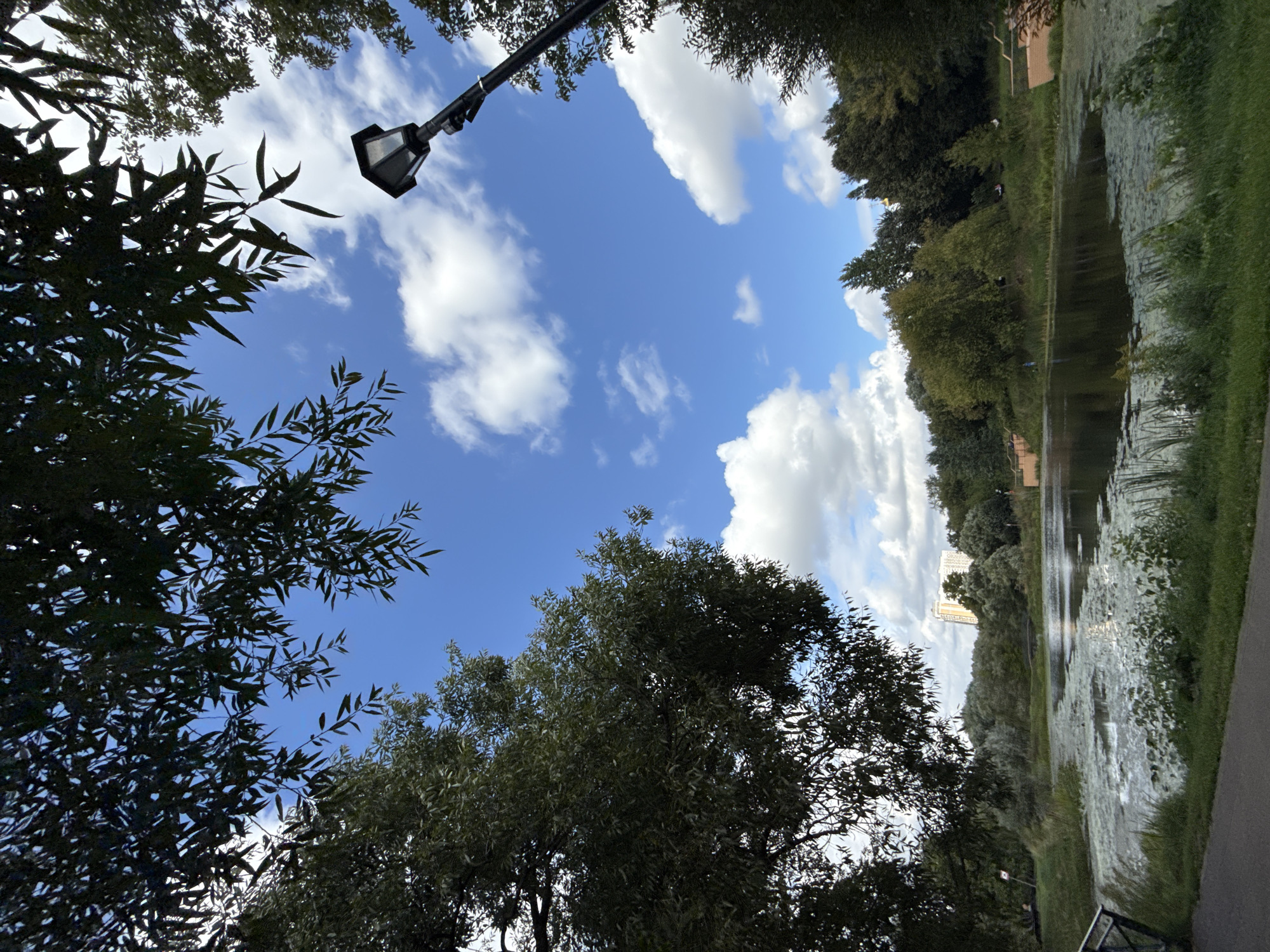 The image shows a park scene with a pond in the foreground. Tall trees with dark green foliage frame the top of the image. A bright blue sky with scattered white clouds fills the upper portion of the scene, with a black lamppost visible on the right. The pond's surface is partially covered with green lily pads and other aquatic vegetation. The far bank of the pond is lined with more trees, and a light-colored building is visible in the distance. The overall impression is of a peaceful, natural environment within an urban setting. Based on the architecture of the distant building, this scene is likely located in Moscow, Russia. There are no people or animals clearly visible in the image.